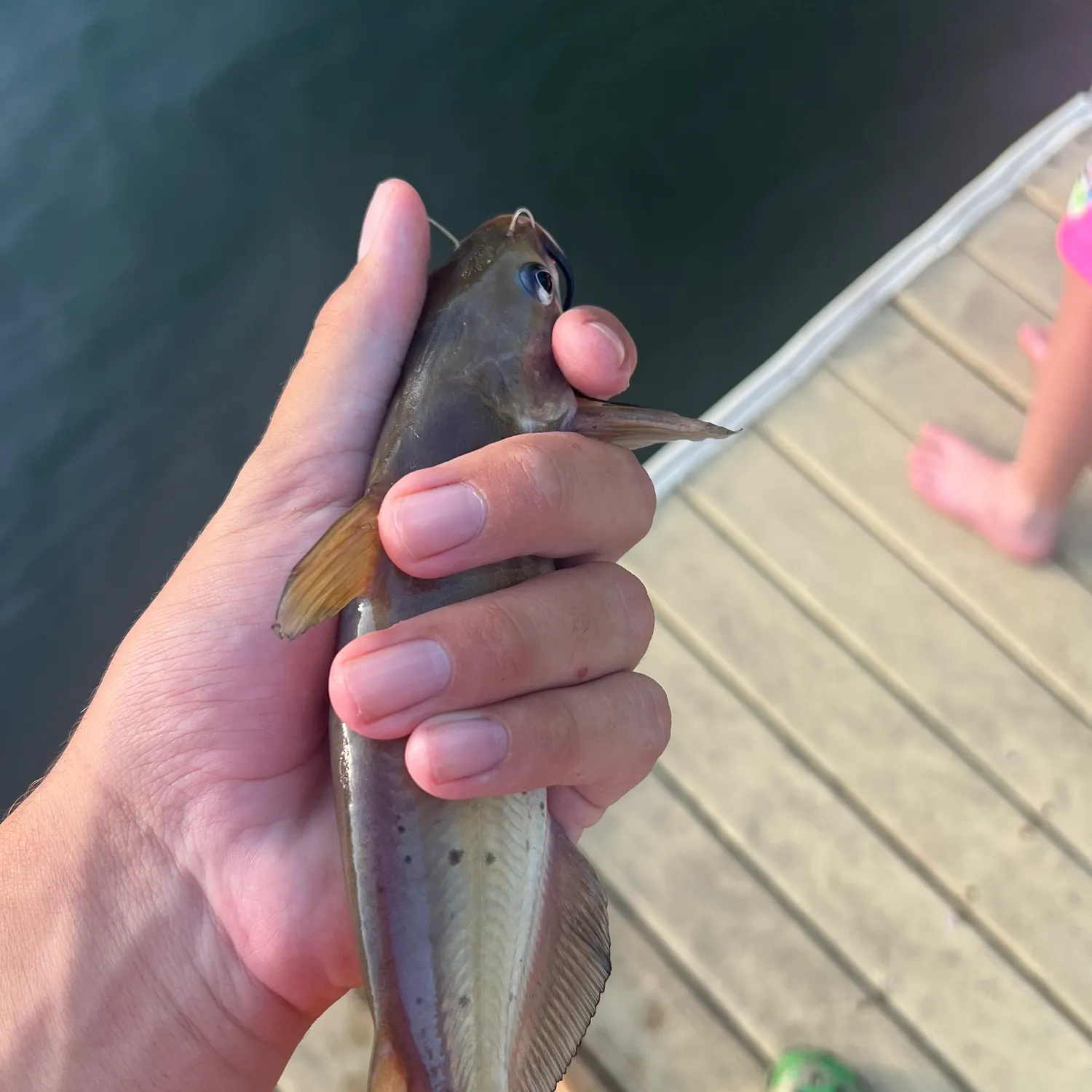 catch