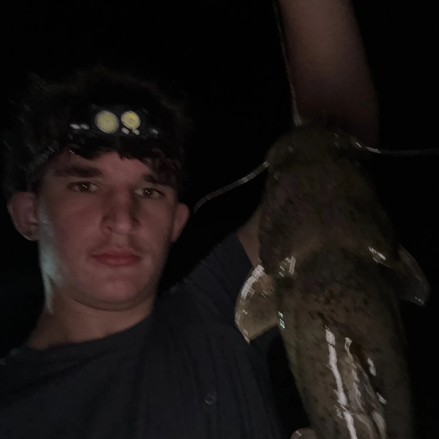 Flathead catfish caught on Fishbrain