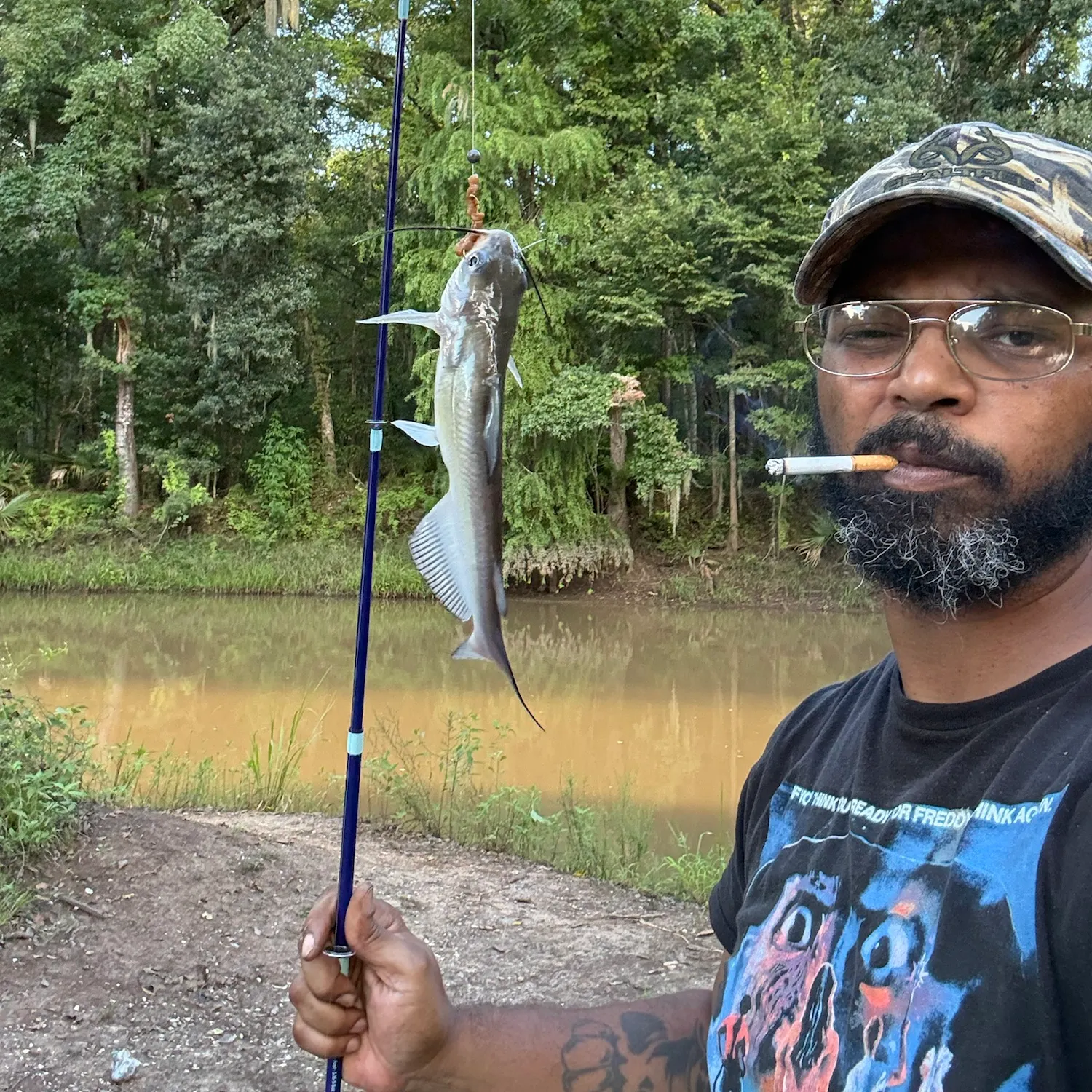 Channel catfish caught on Fishbrain