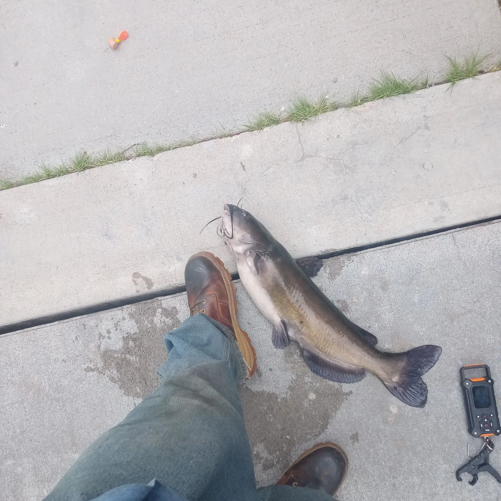 catch