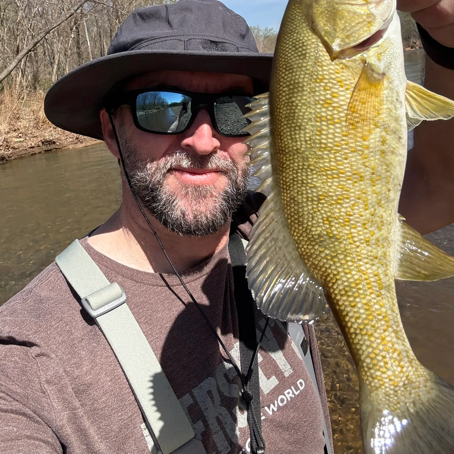 The most recent Smallmouth bass catches on Fishbrain