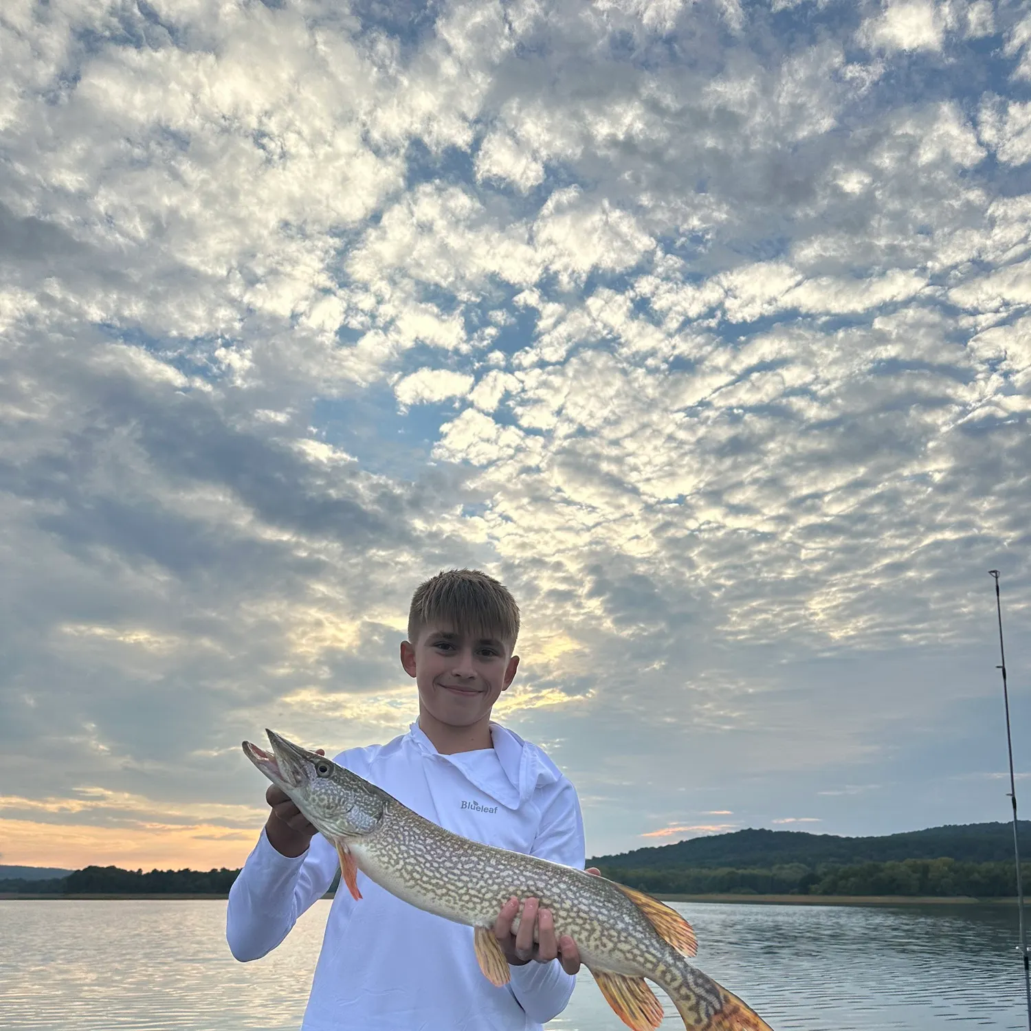 Northern pike caught on Fishbrain