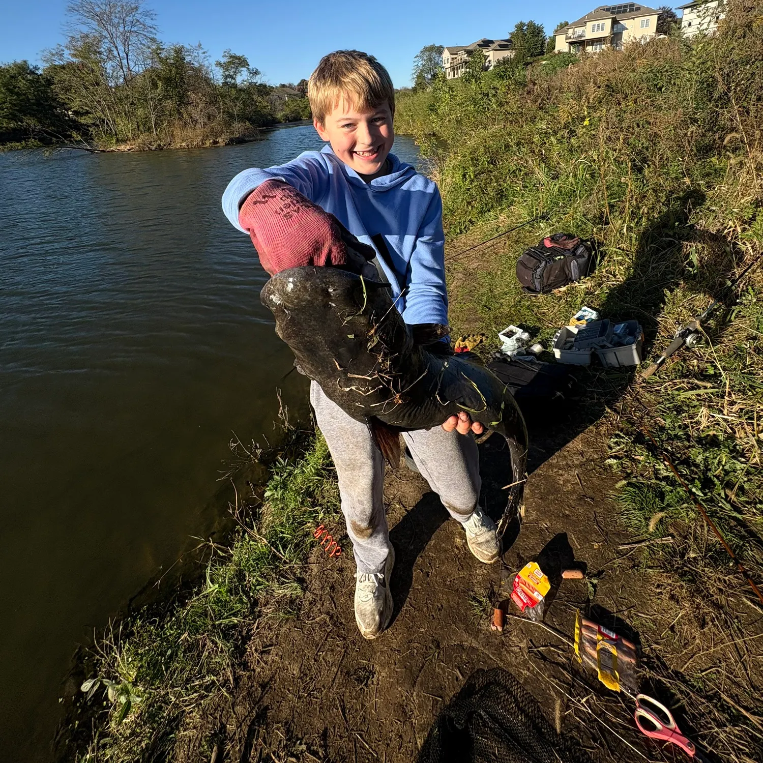 Channel catfish caught on Fishbrain