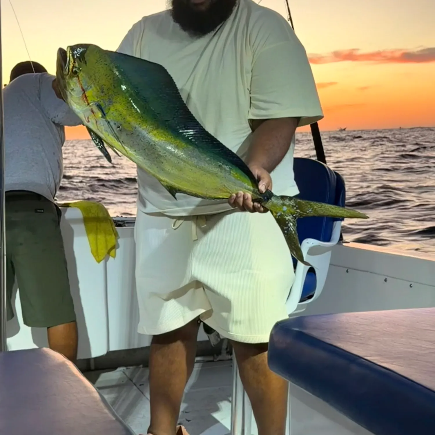 The most recent Common dolphinfish catches on Fishbrain