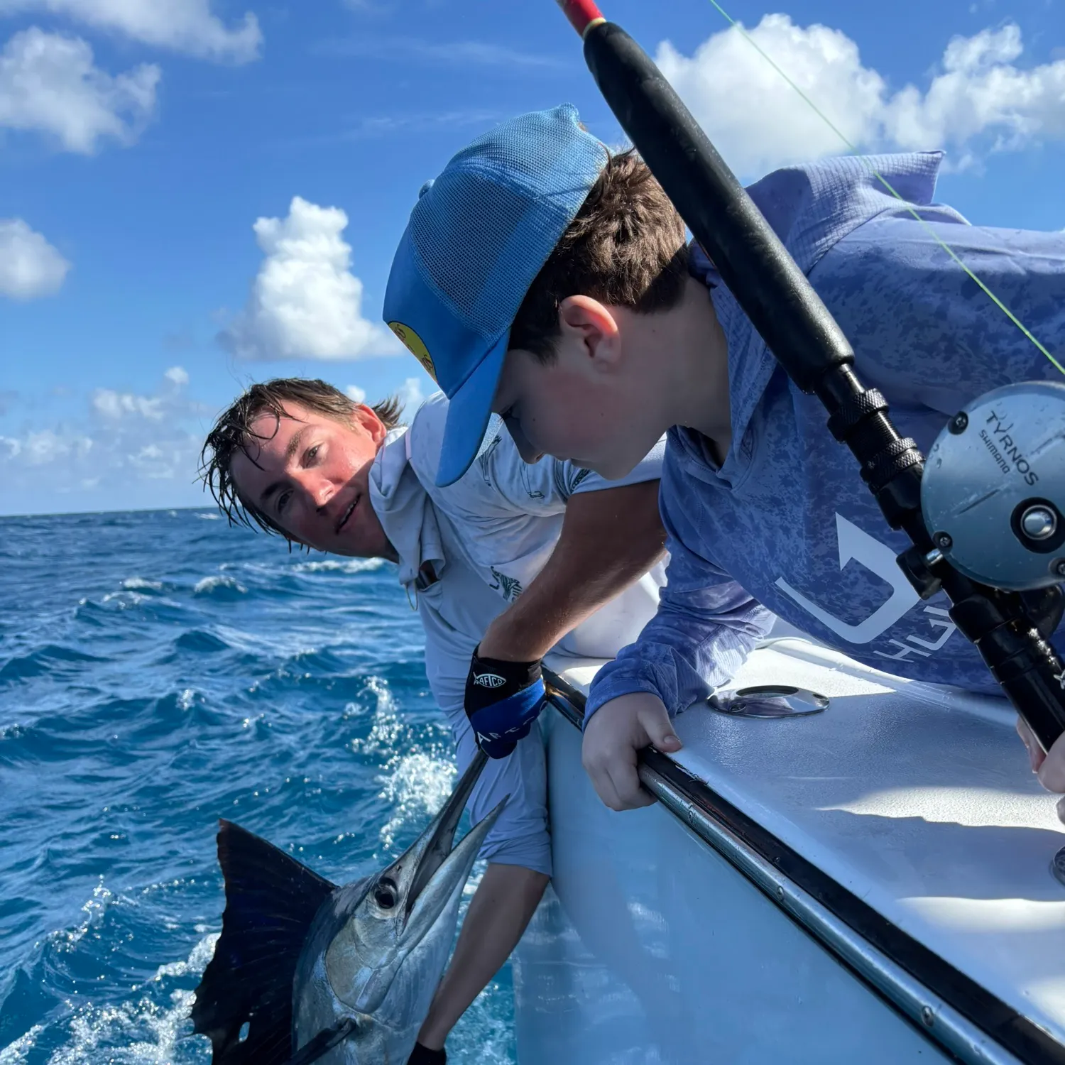 The most recent Atlantic sailfish catches on Fishbrain