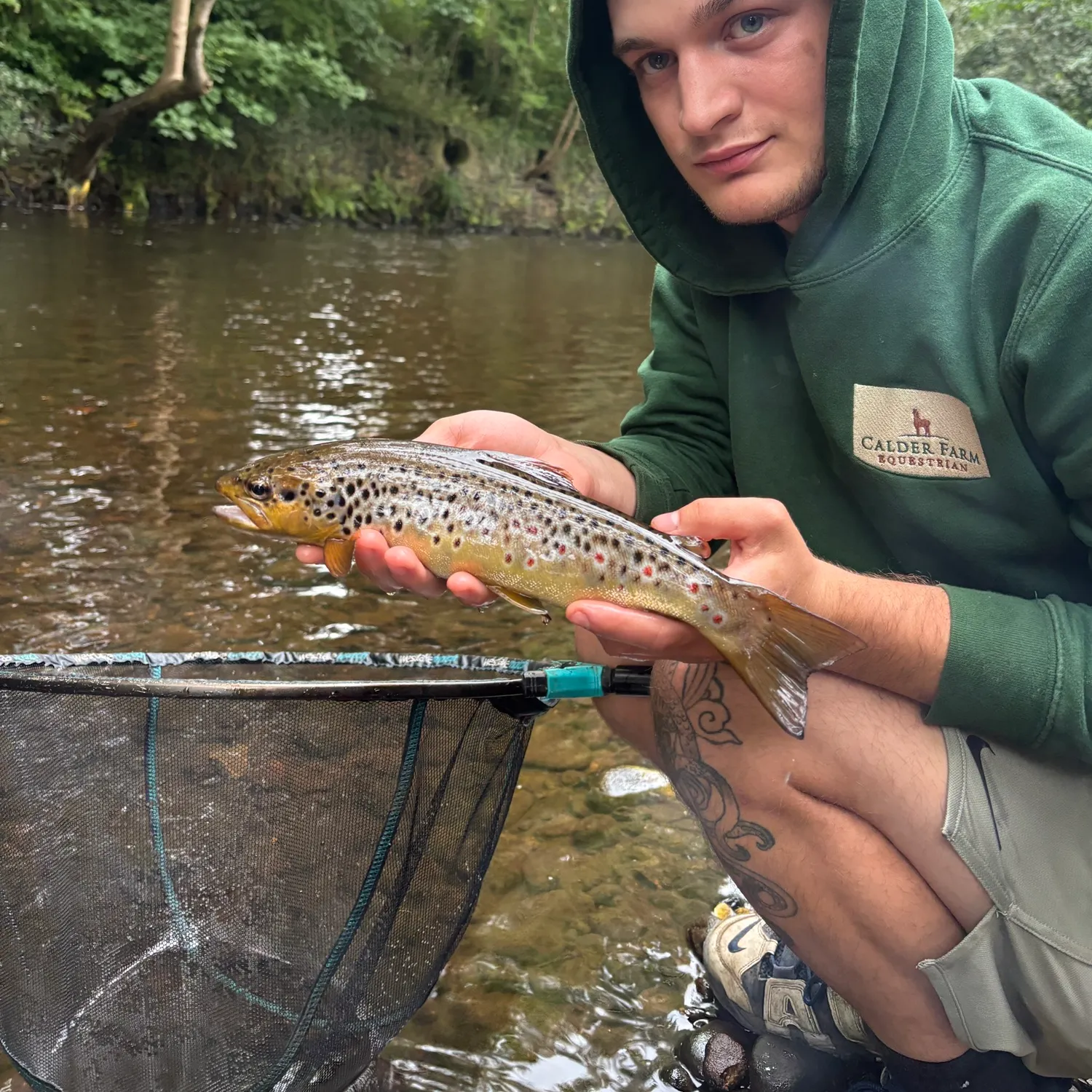 Brown trout caught on Fishbrain