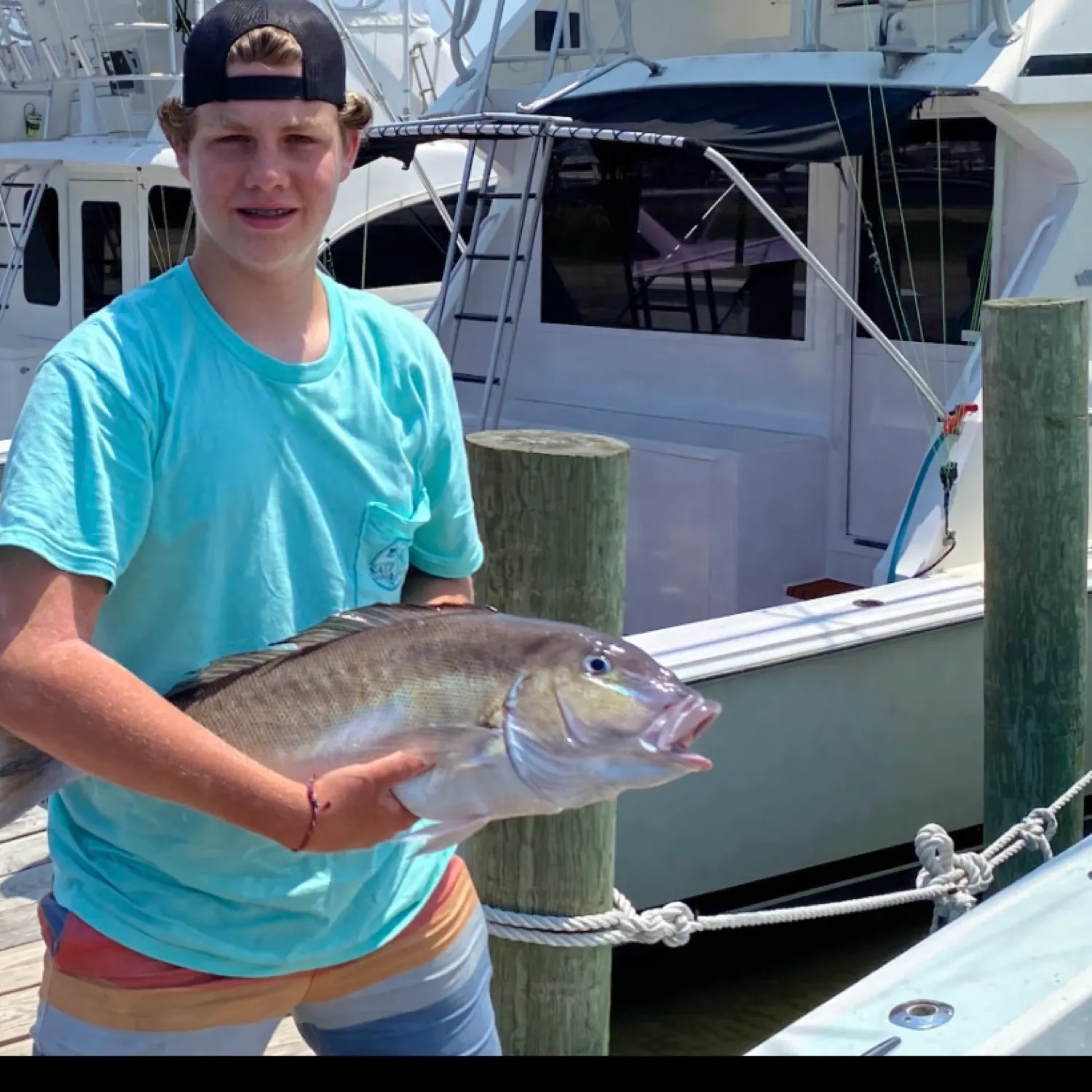 The most recent Atlantic goldeye tilefish catches on Fishbrain