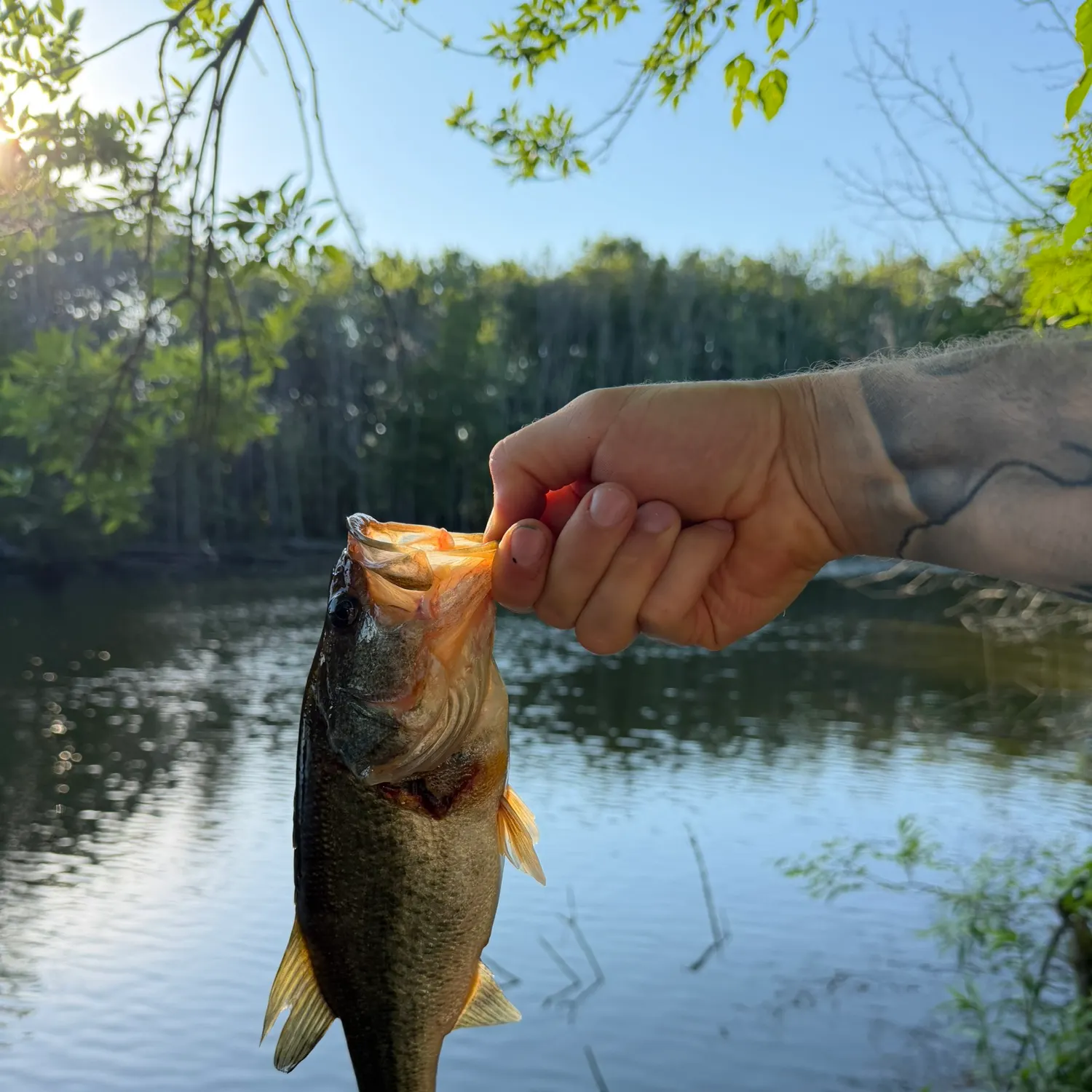 catch