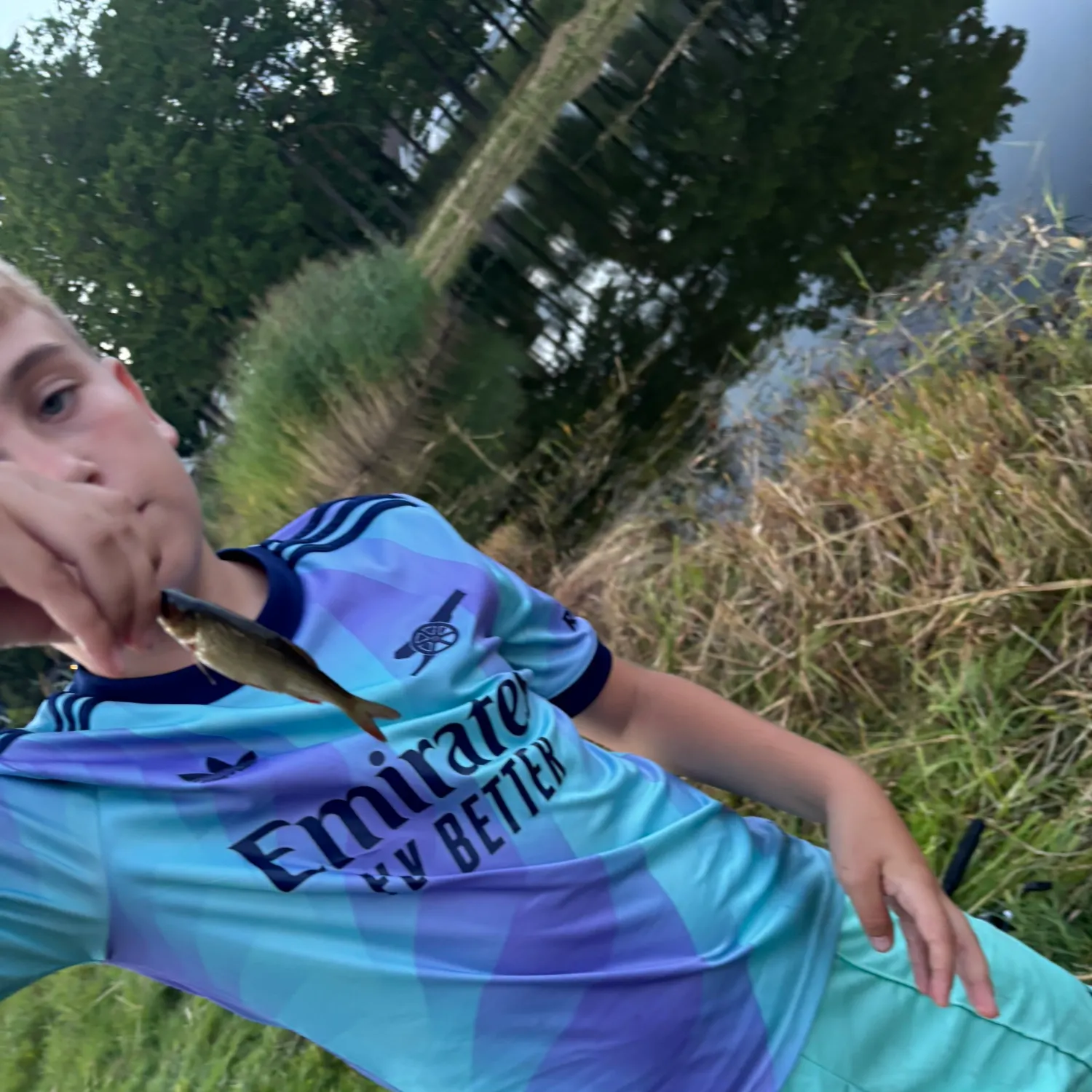 Common roach caught on Fishbrain