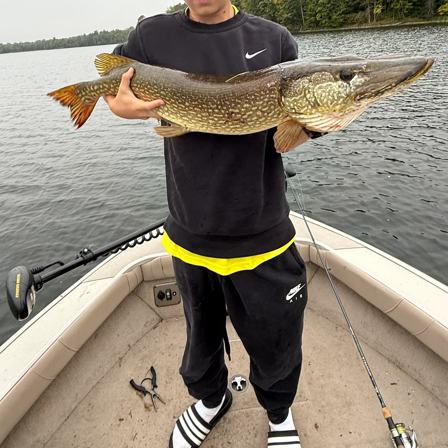 Northern pike caught on Fishbrain