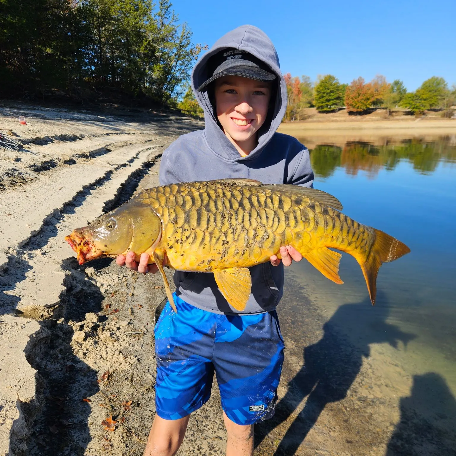 Mirror carp caught on Fishbrain