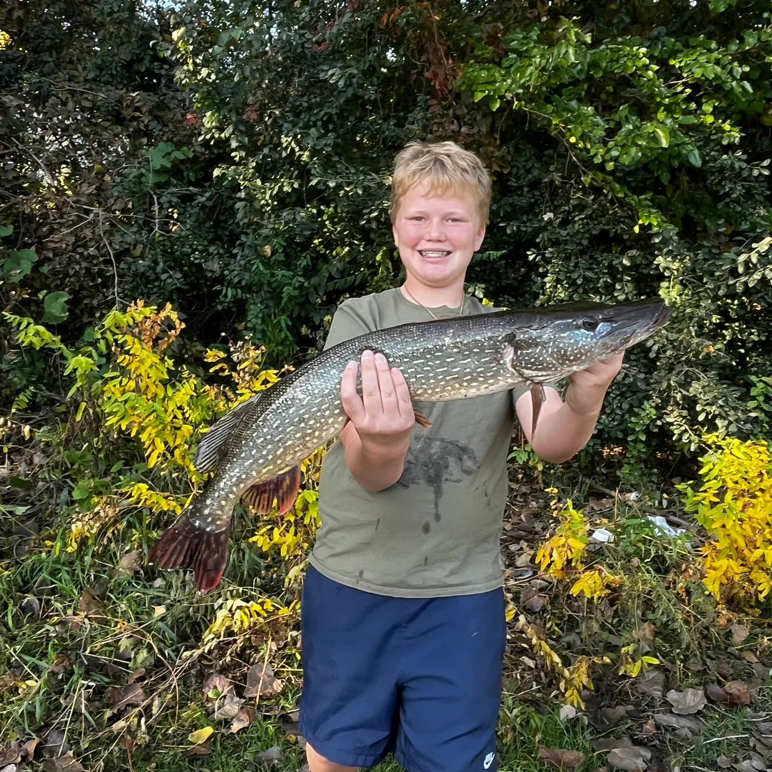 Northern pike caught on Fishbrain