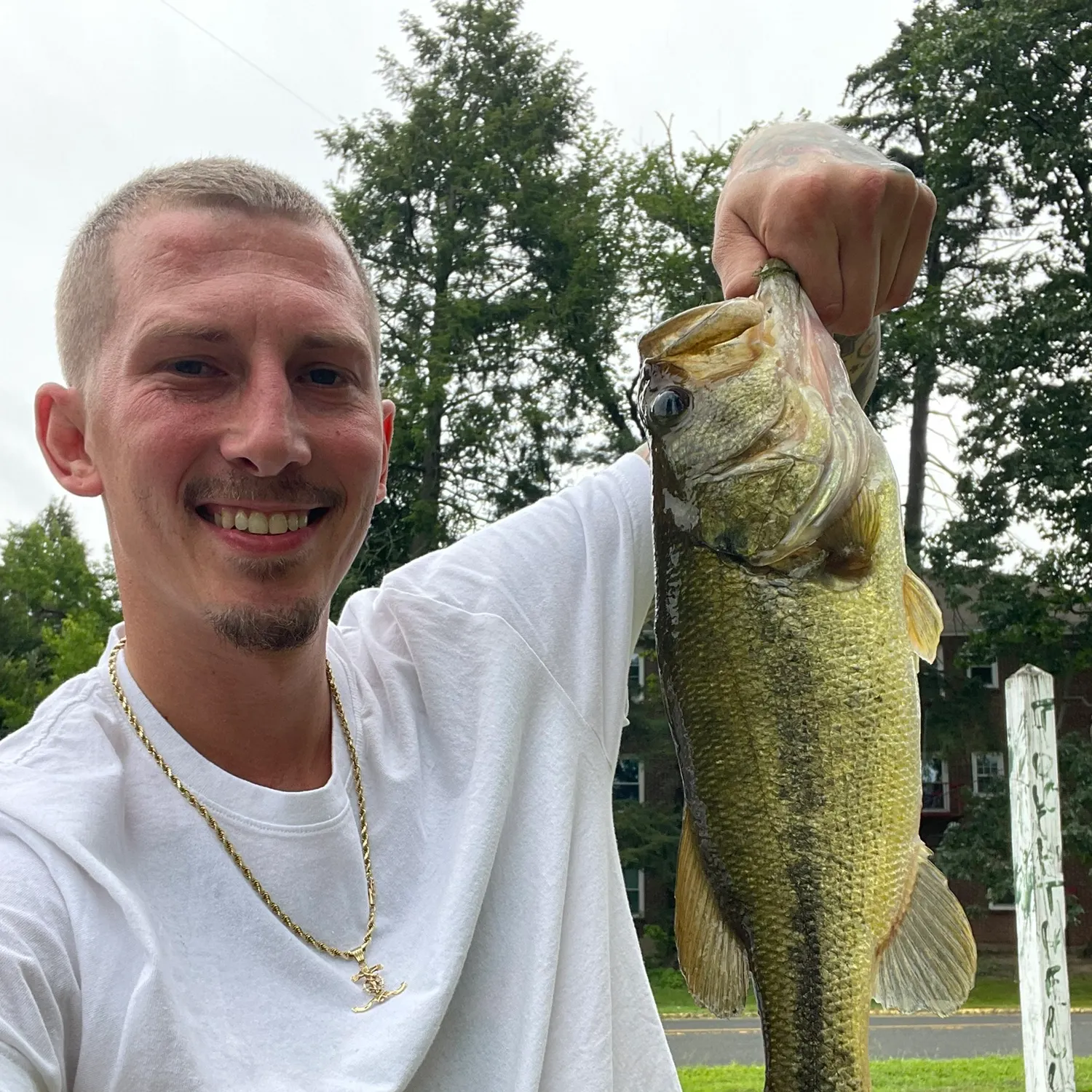 Largemouth bass caught on Fishbrain