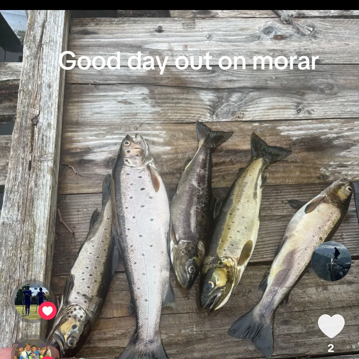 recently logged catches