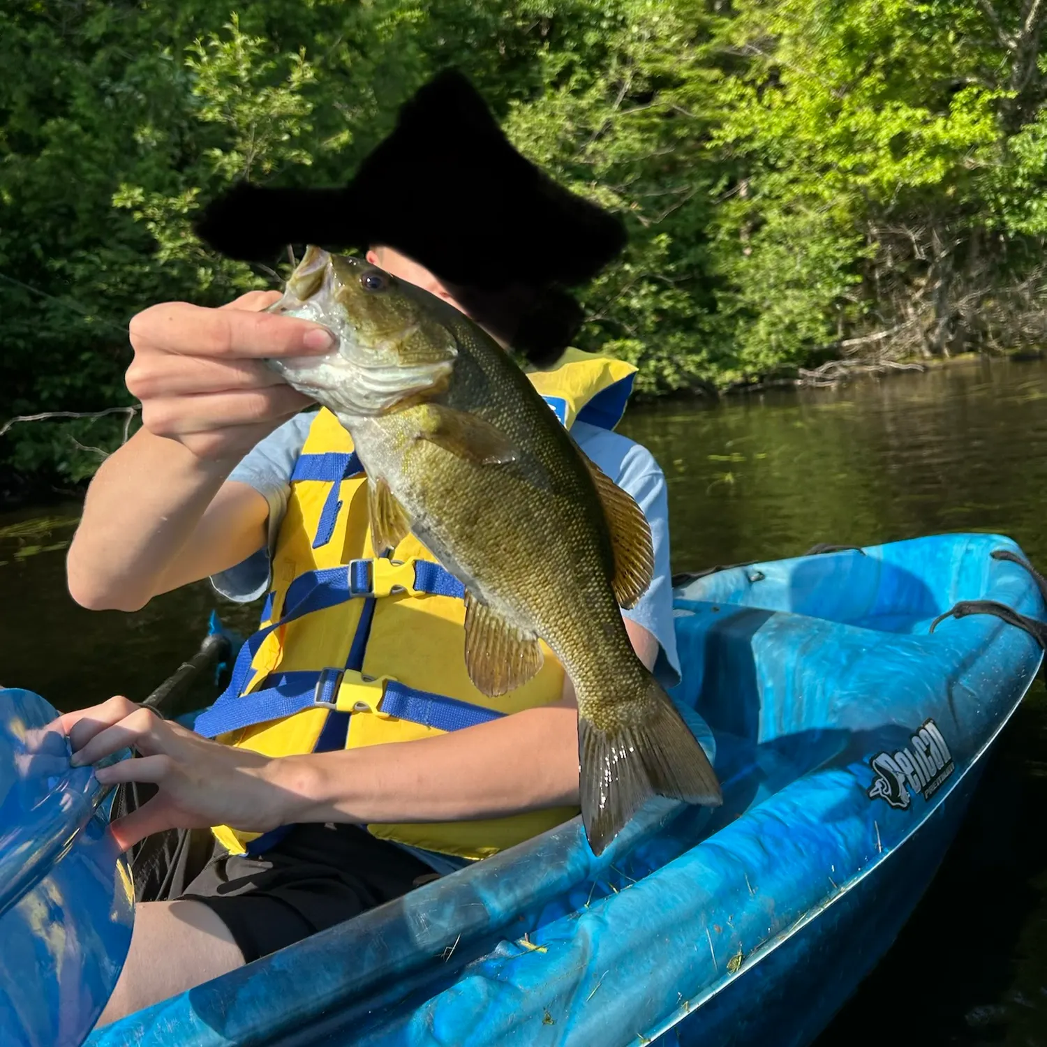 Smallmouth bass caught on Fishbrain