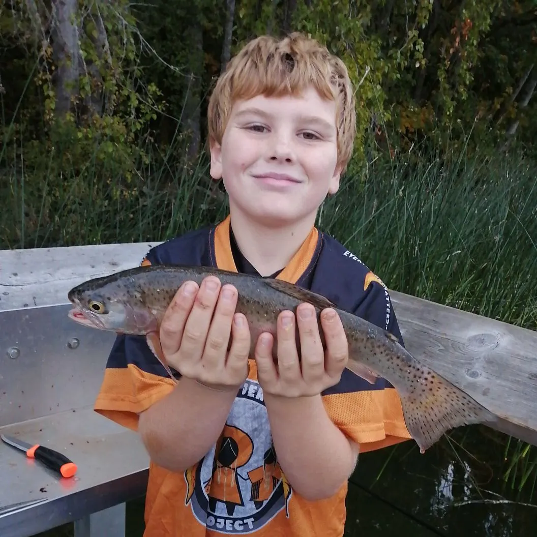 Rainbow trout caught on Fishbrain