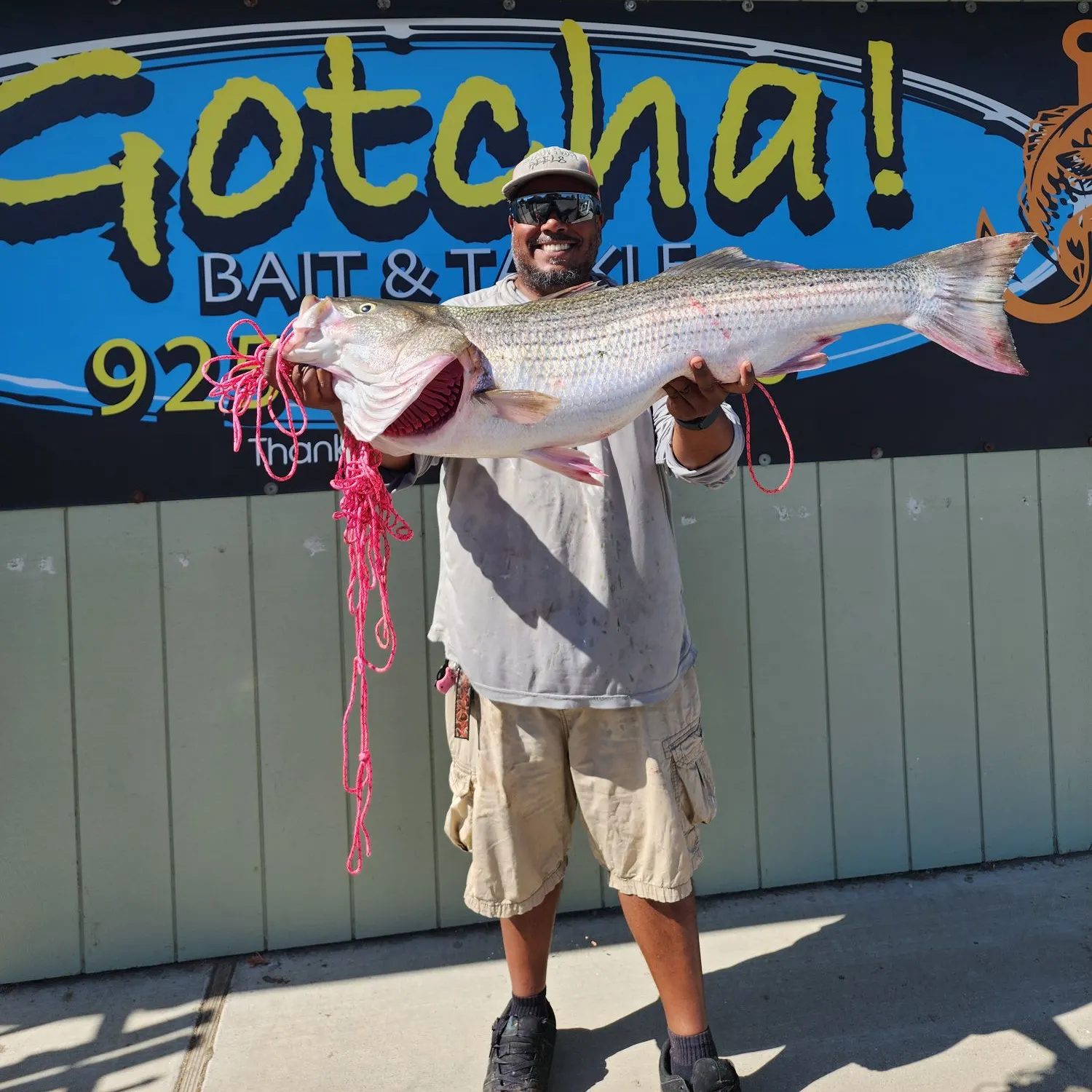 Striped bass caught on Fishbrain
