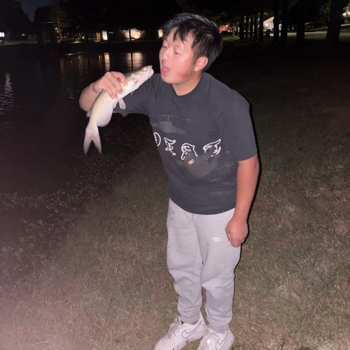 Channel catfish caught on Fishbrain