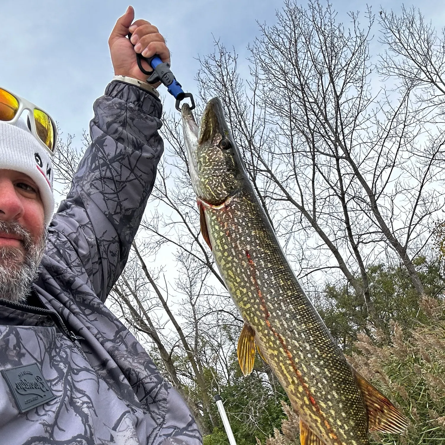 Northern pike caught on Fishbrain