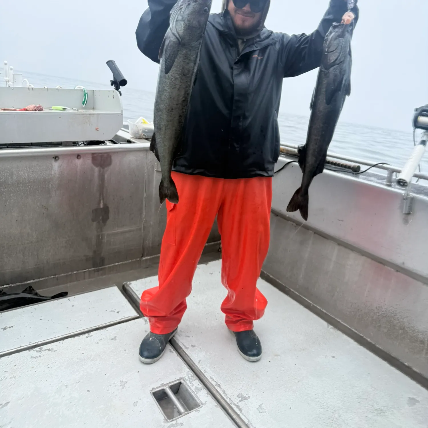 The most recent Sablefish catches on Fishbrain