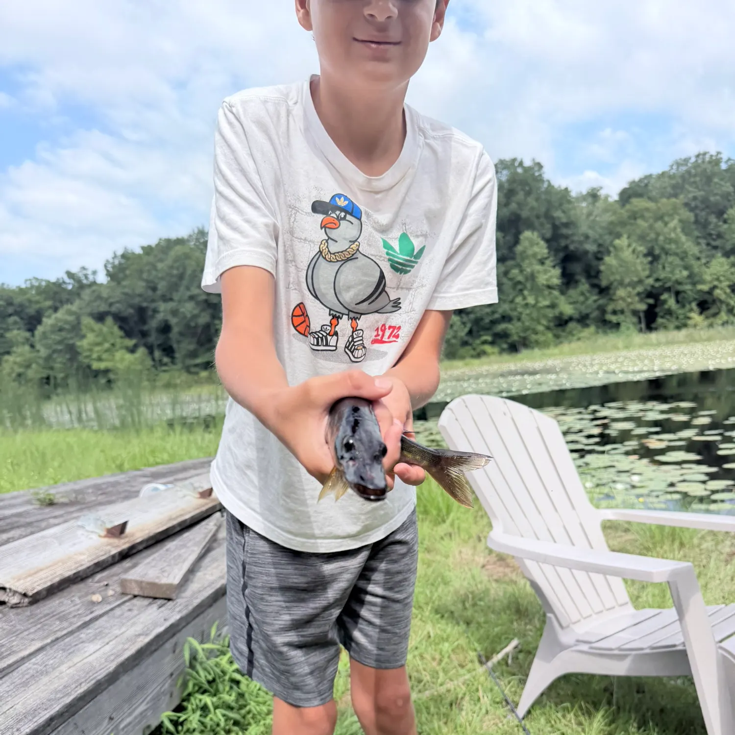Chain pickerel caught on Fishbrain