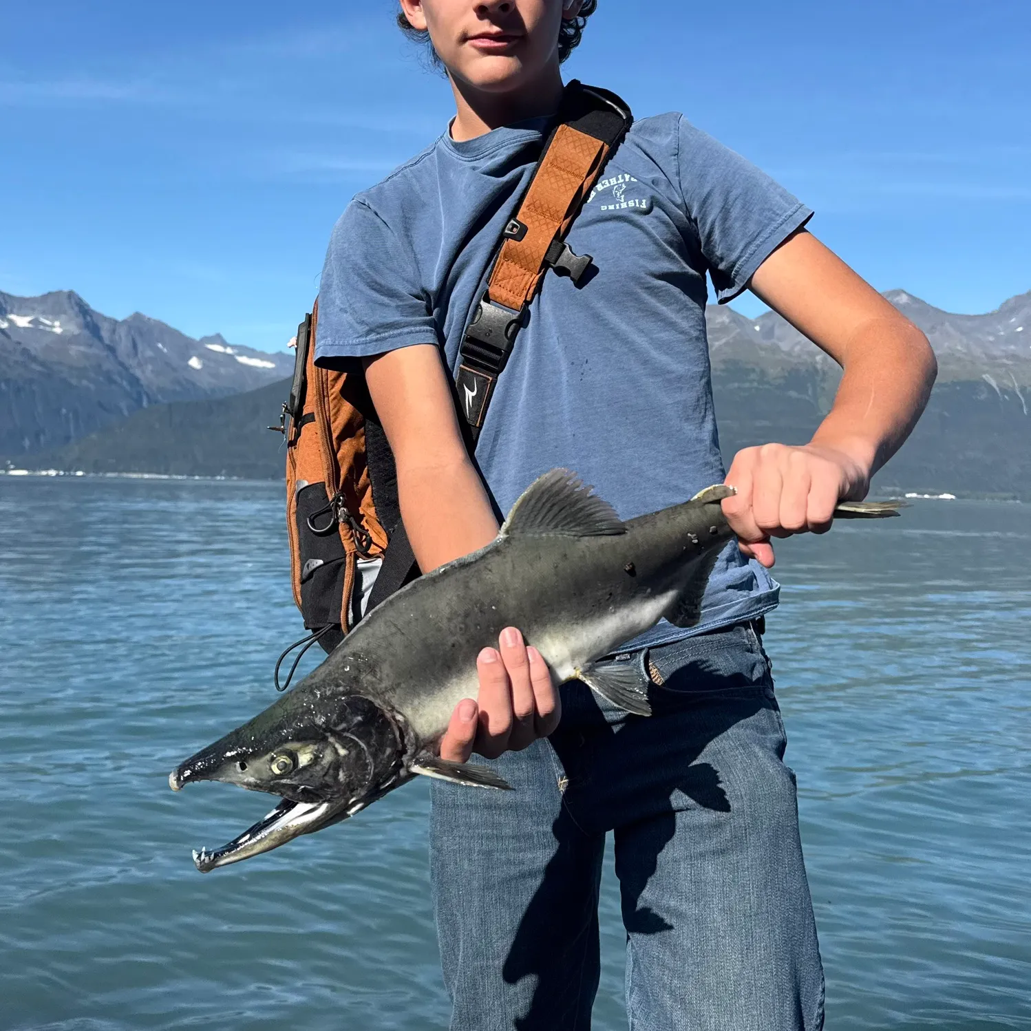 Pink salmon caught on Fishbrain