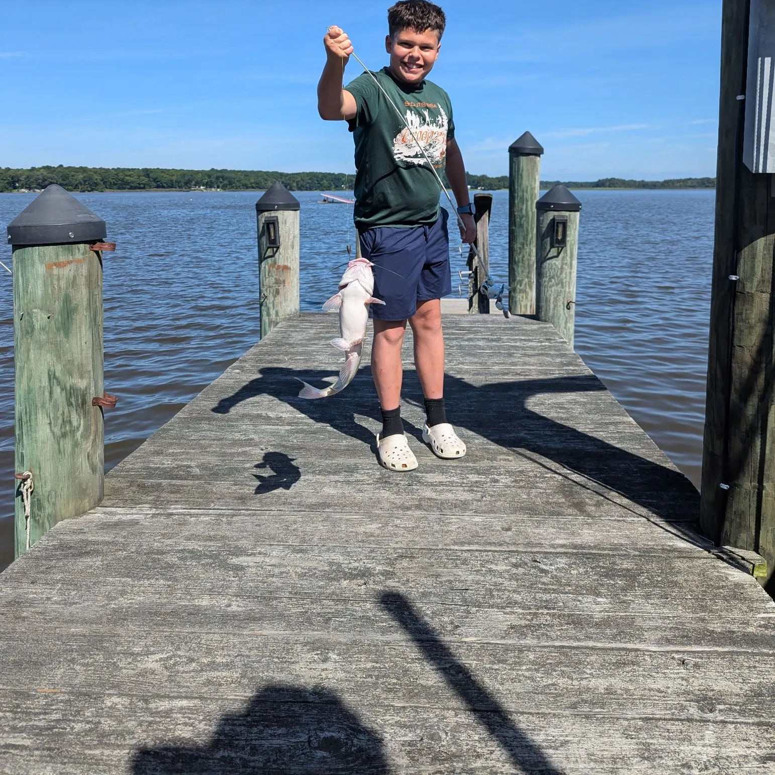 Channel catfish caught on Fishbrain