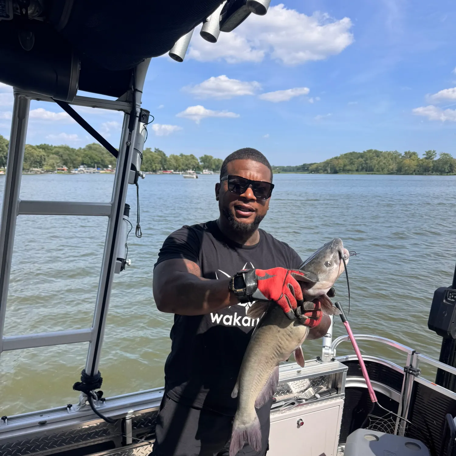 Channel catfish caught on Fishbrain