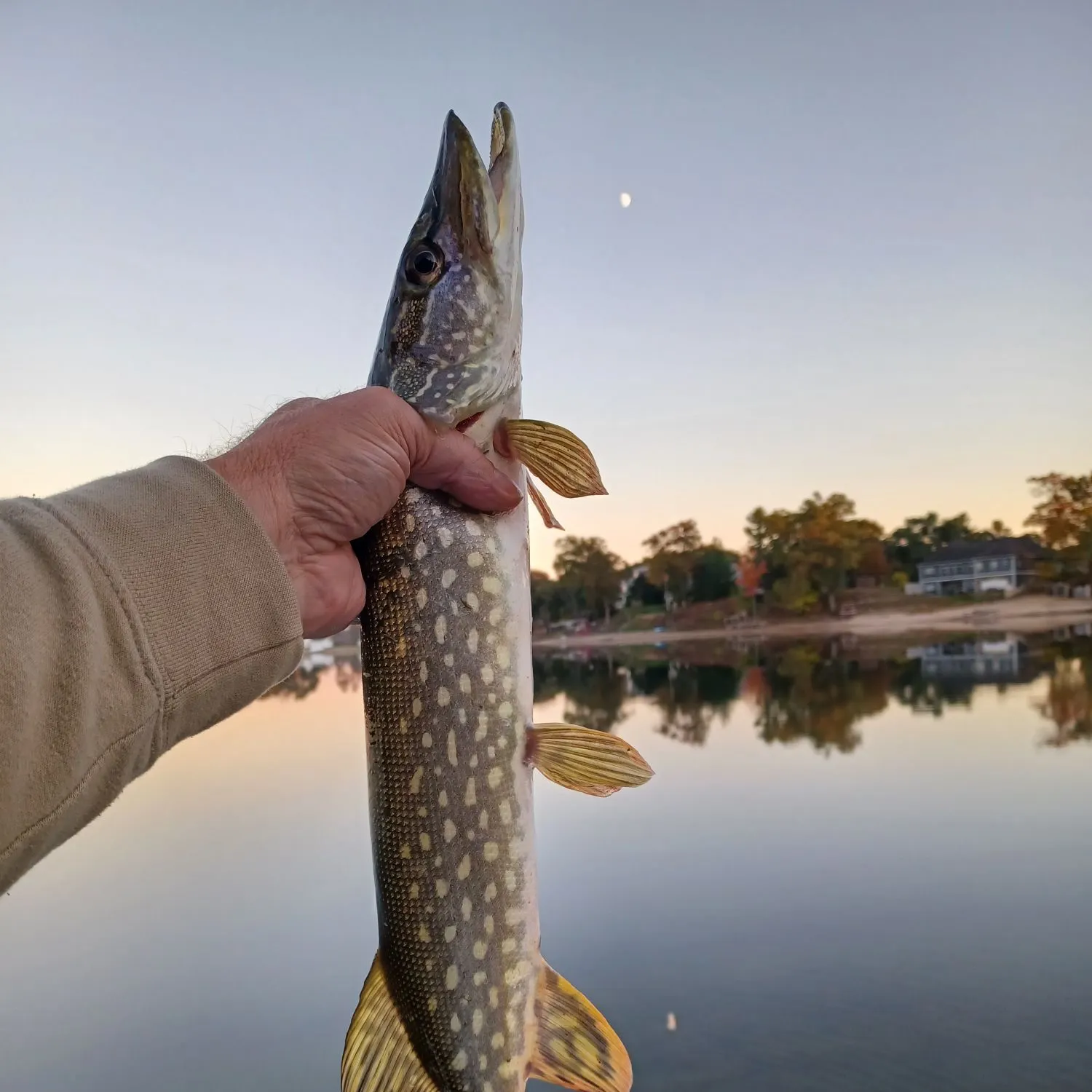 Fish caught on Fishbrain