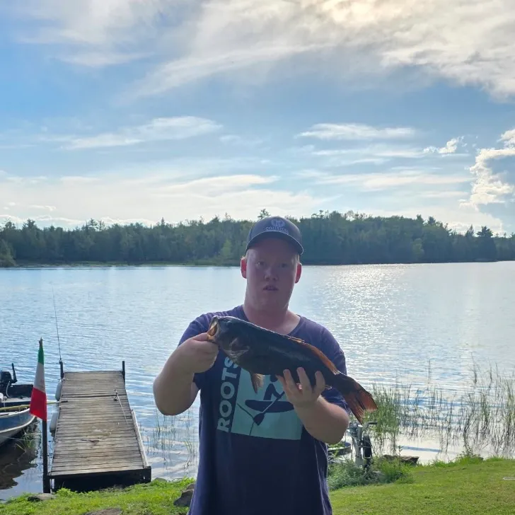 Smallmouth bass caught on Fishbrain