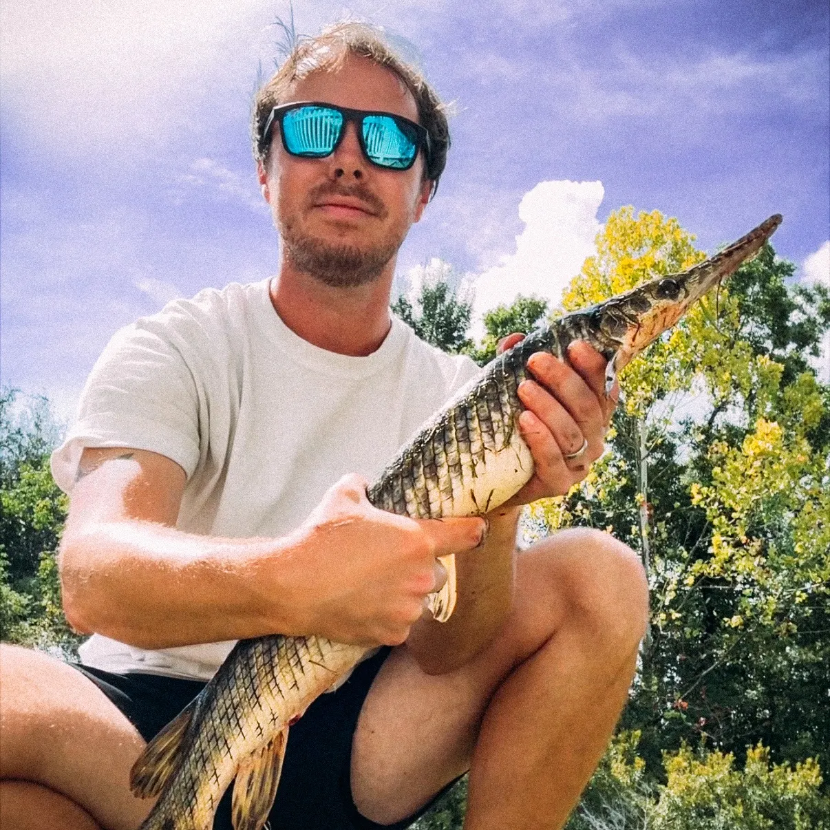 Spotted gar caught on Fishbrain