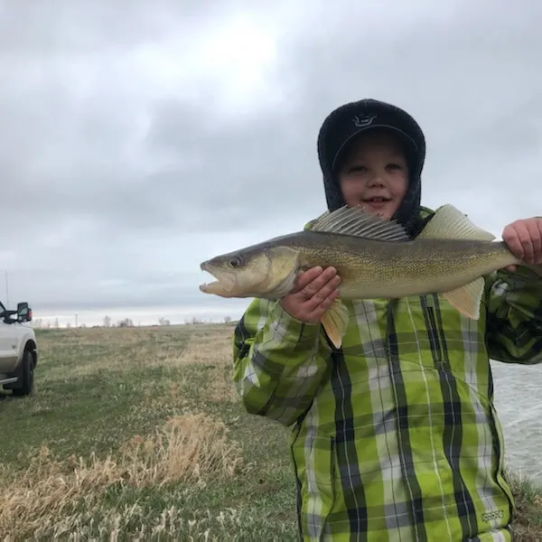 The most recent Walleye catches on Fishbrain