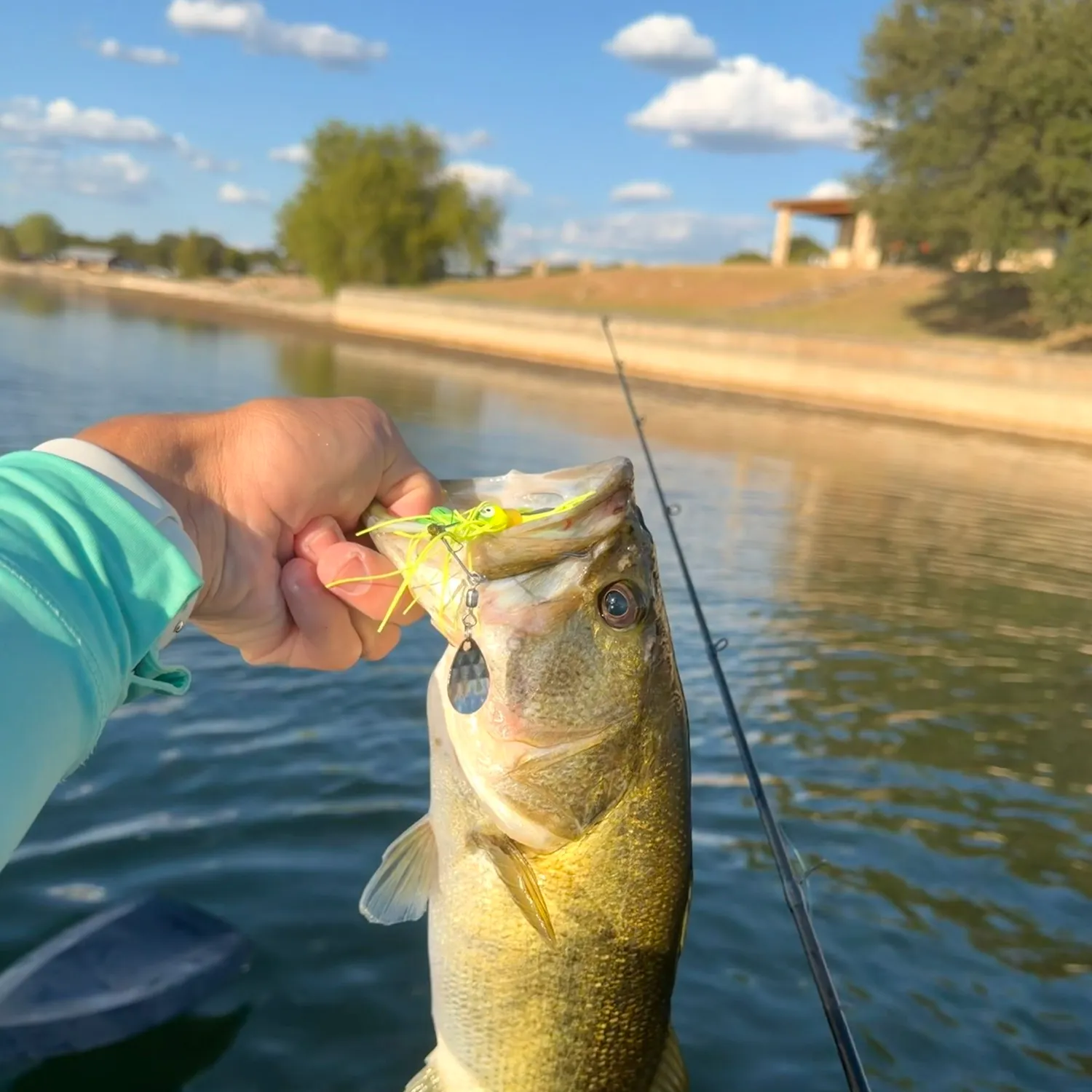 Largemouth bass caught on Fishbrain
