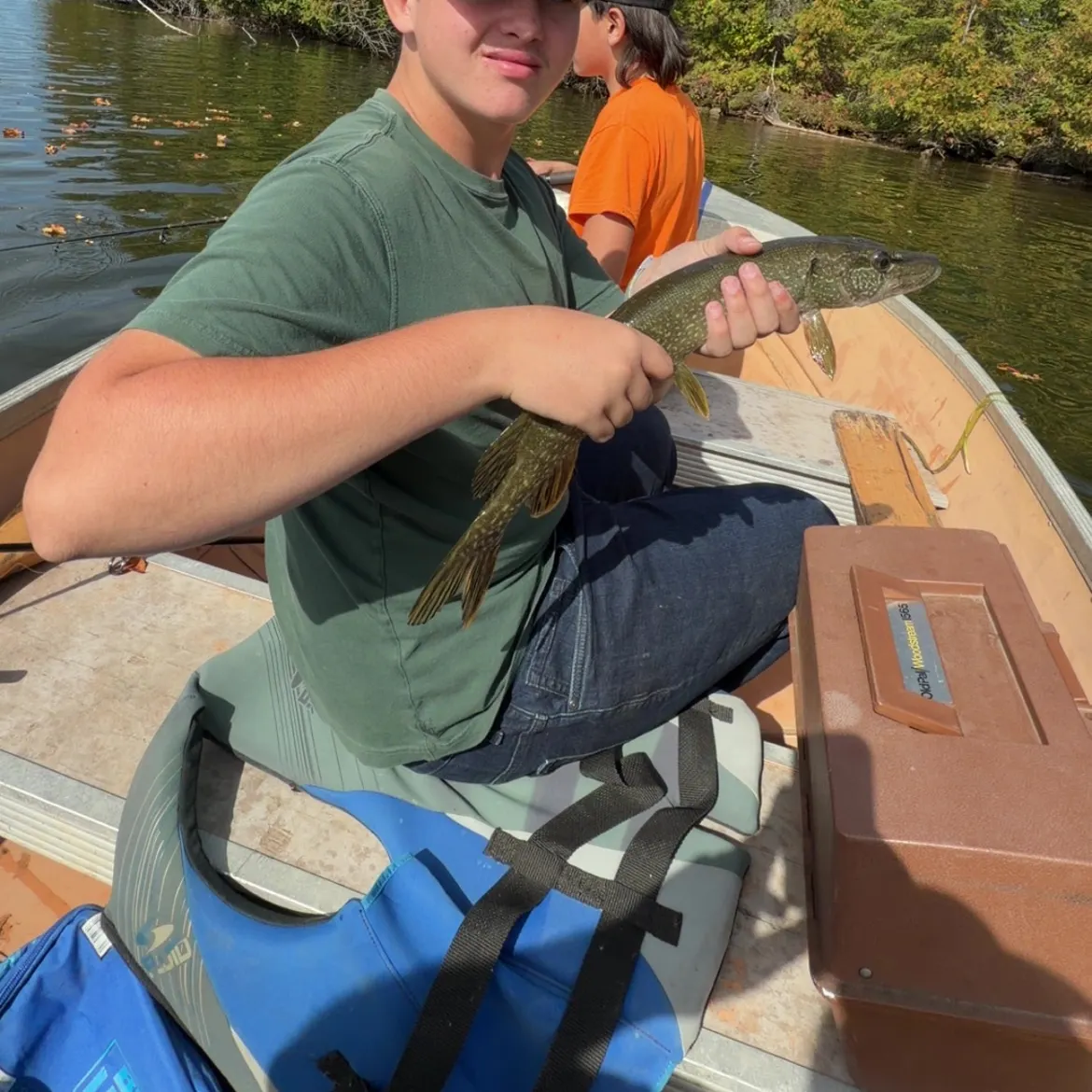 Northern pike caught on Fishbrain