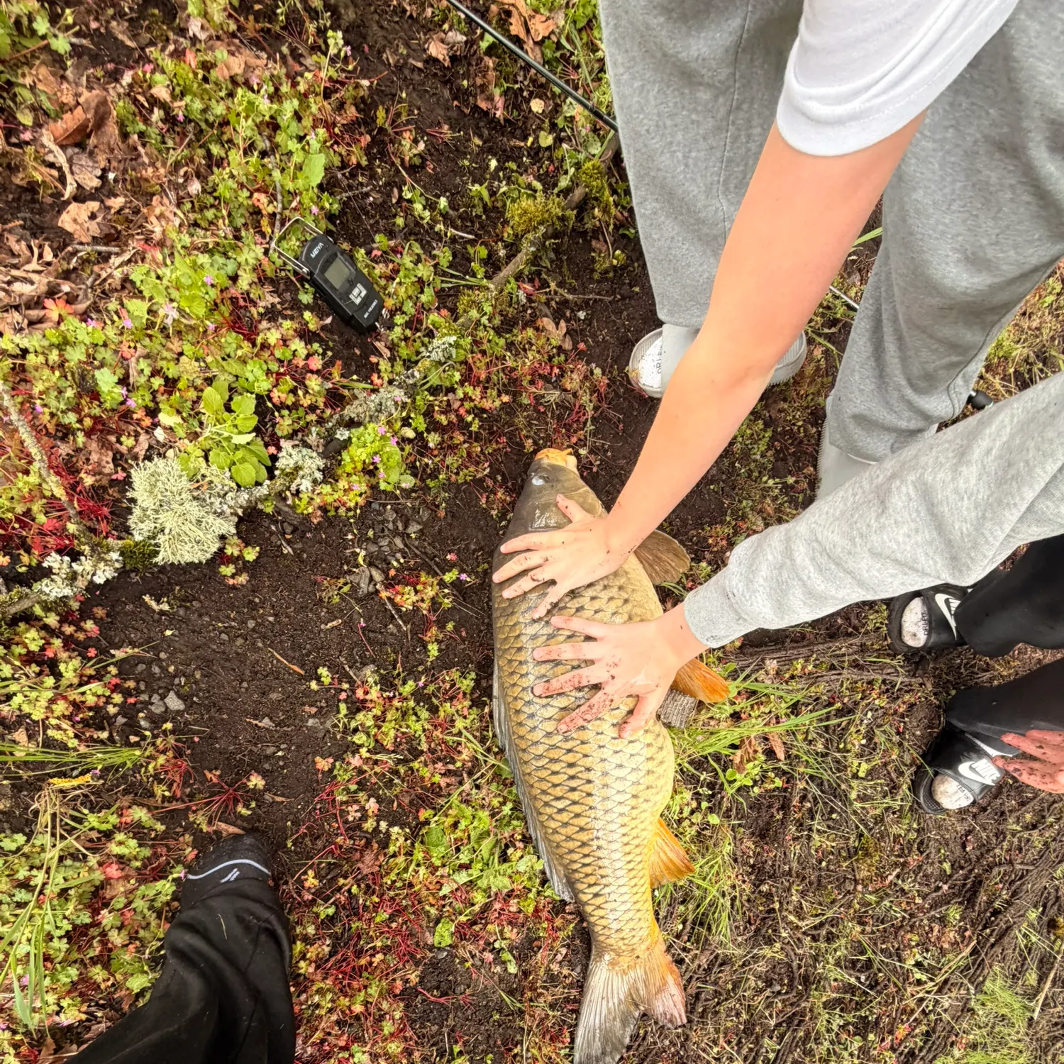 catch