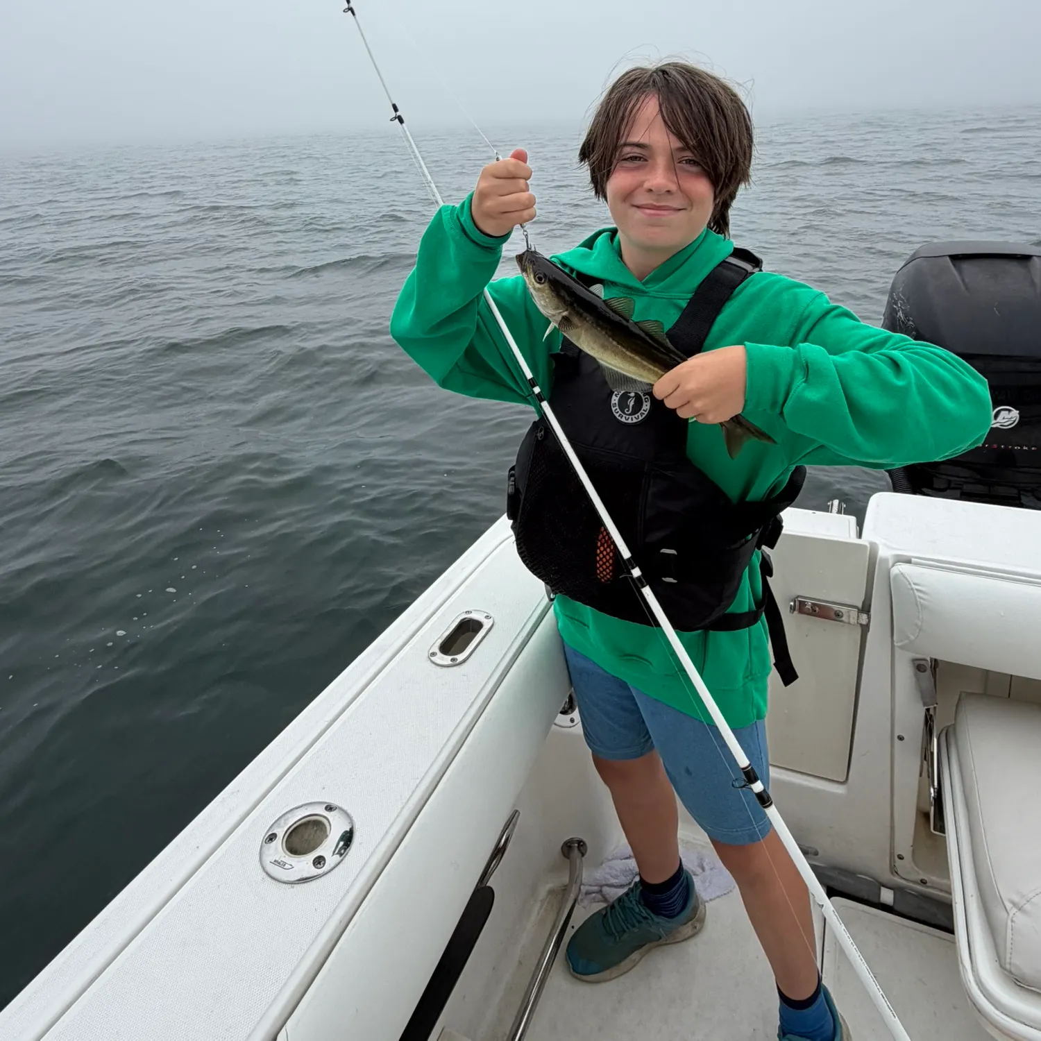 The most recent Atlantic pollock catches on Fishbrain