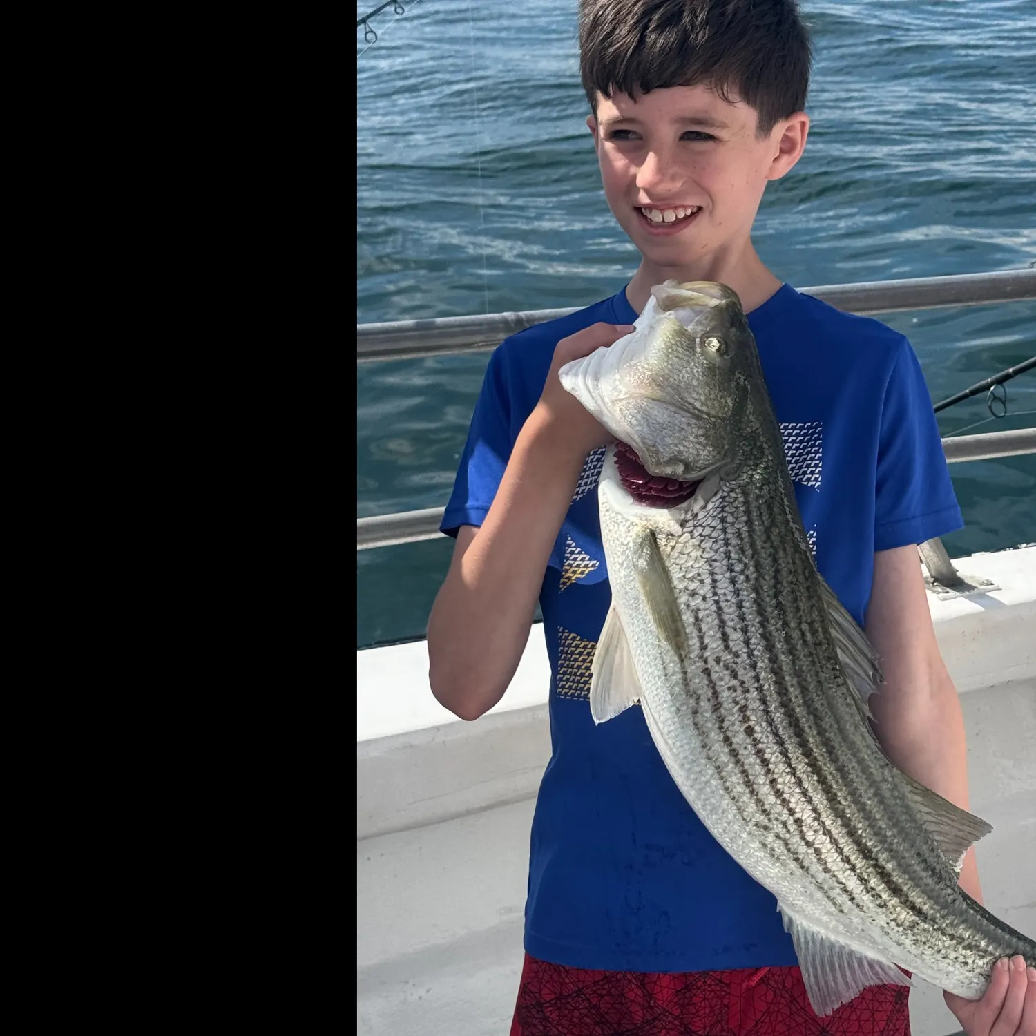 Striped bass caught on Fishbrain