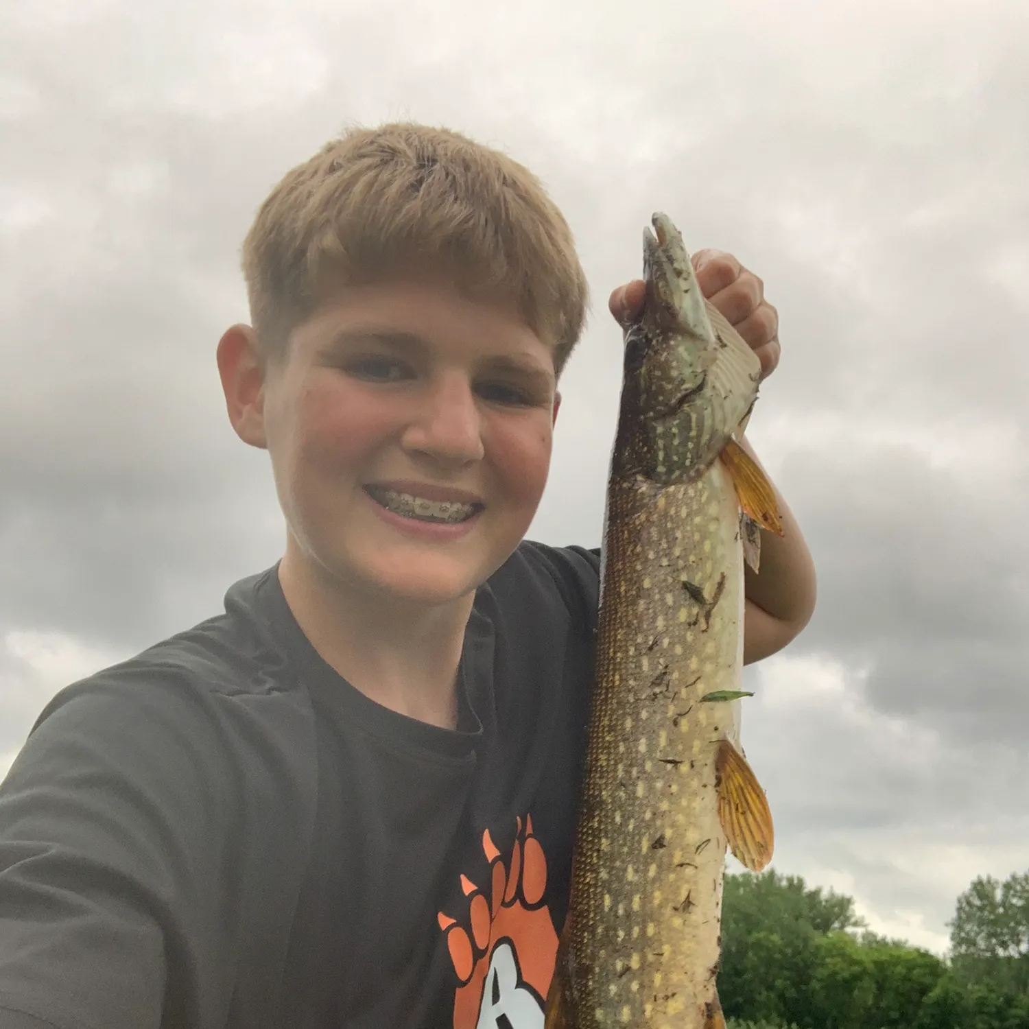 Northern pike caught on Fishbrain
