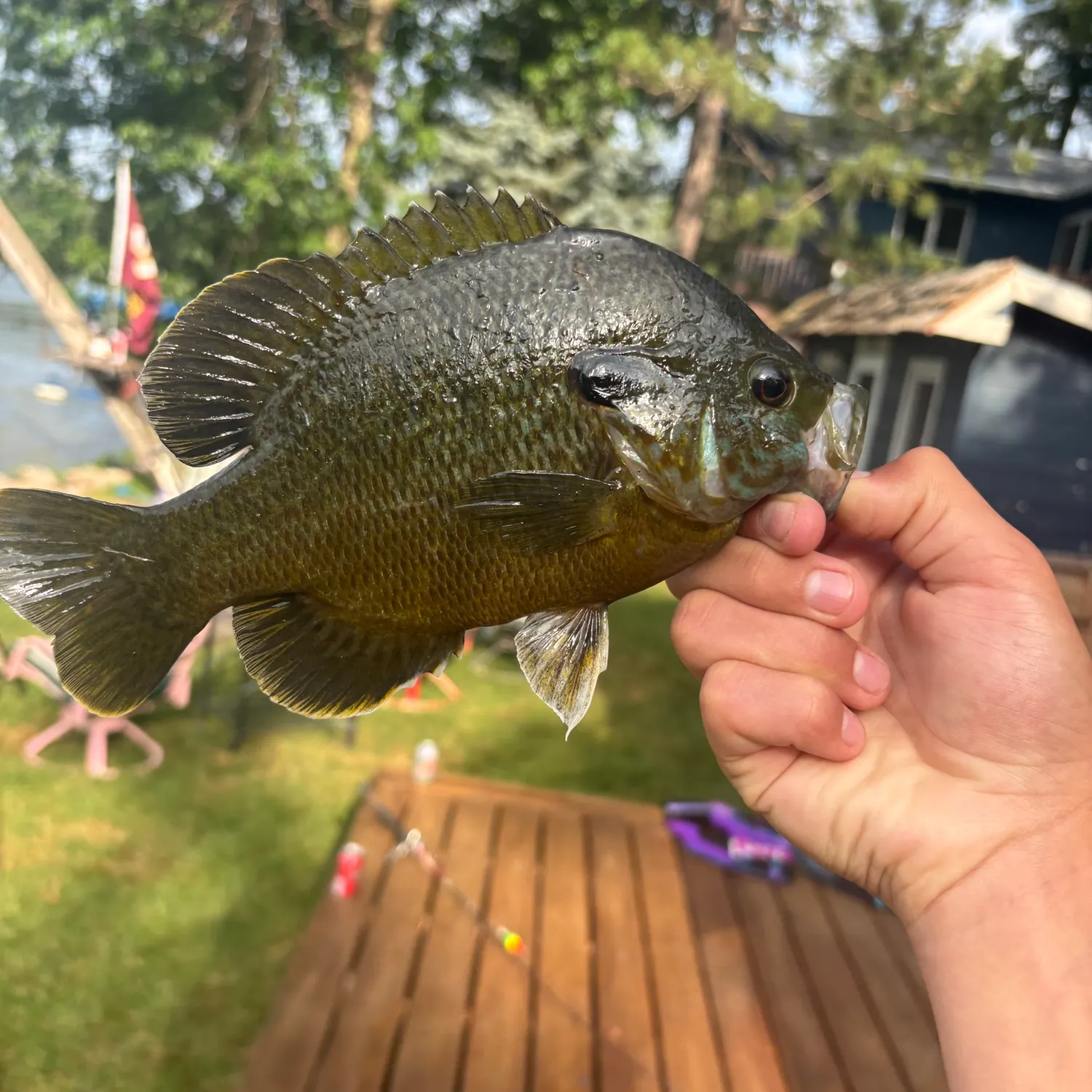 catch