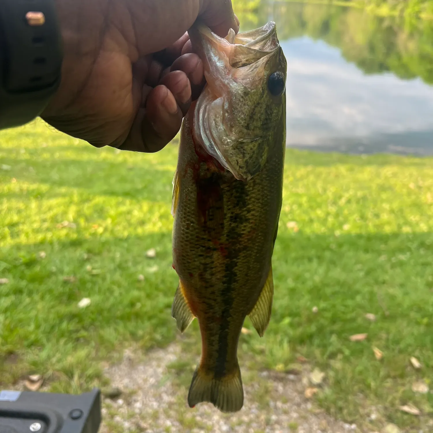 catch