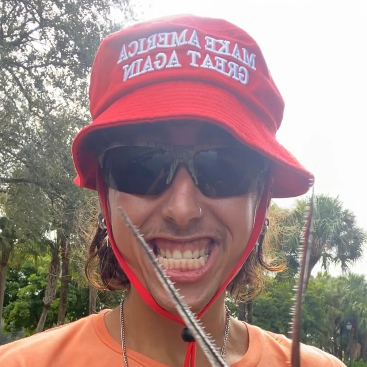 The most recent Atlantic needlefish catches on Fishbrain