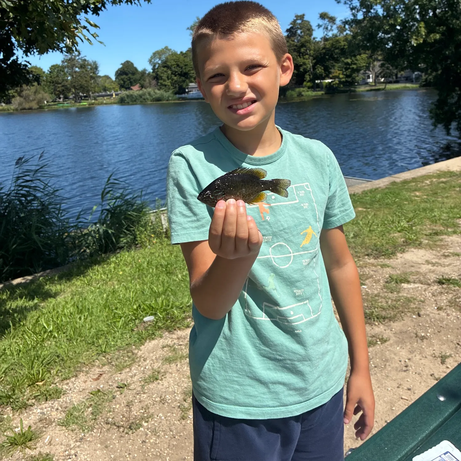 Pumpkinseed caught on Fishbrain
