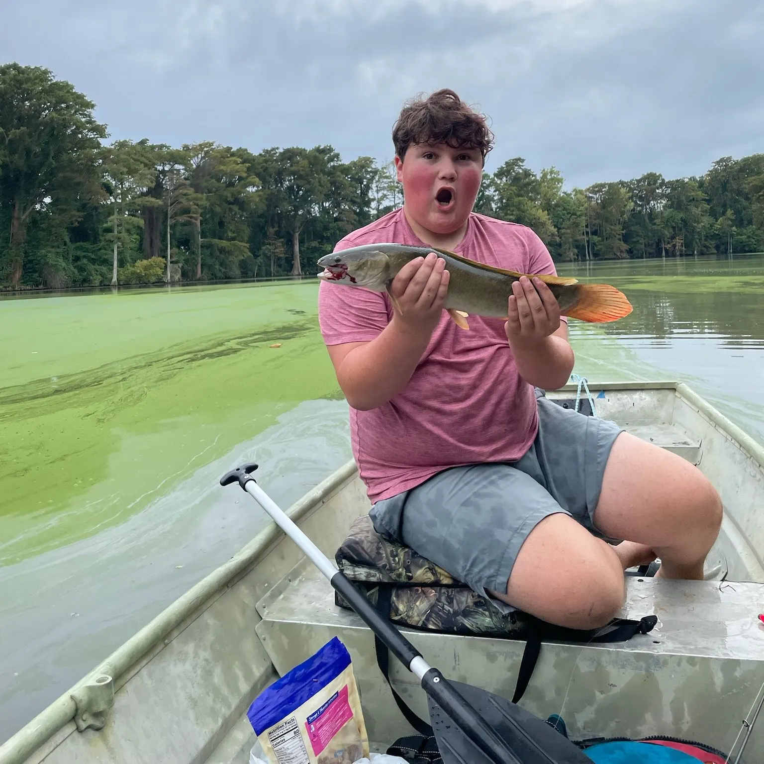 Ruddy bowfin caught on Fishbrain