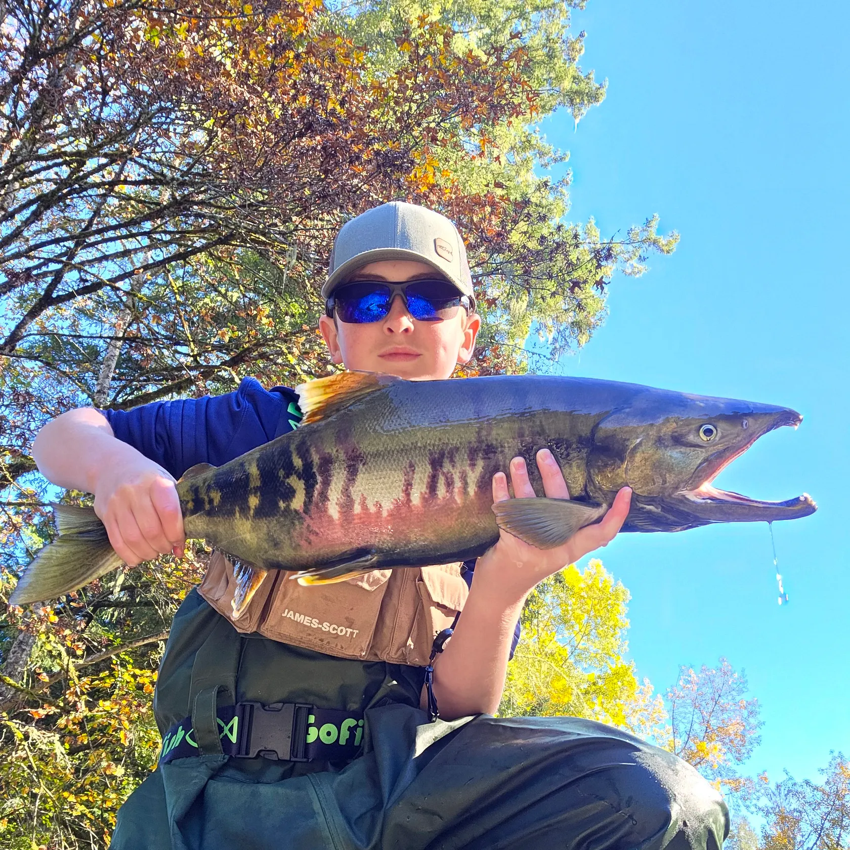 Chum salmon caught on Fishbrain