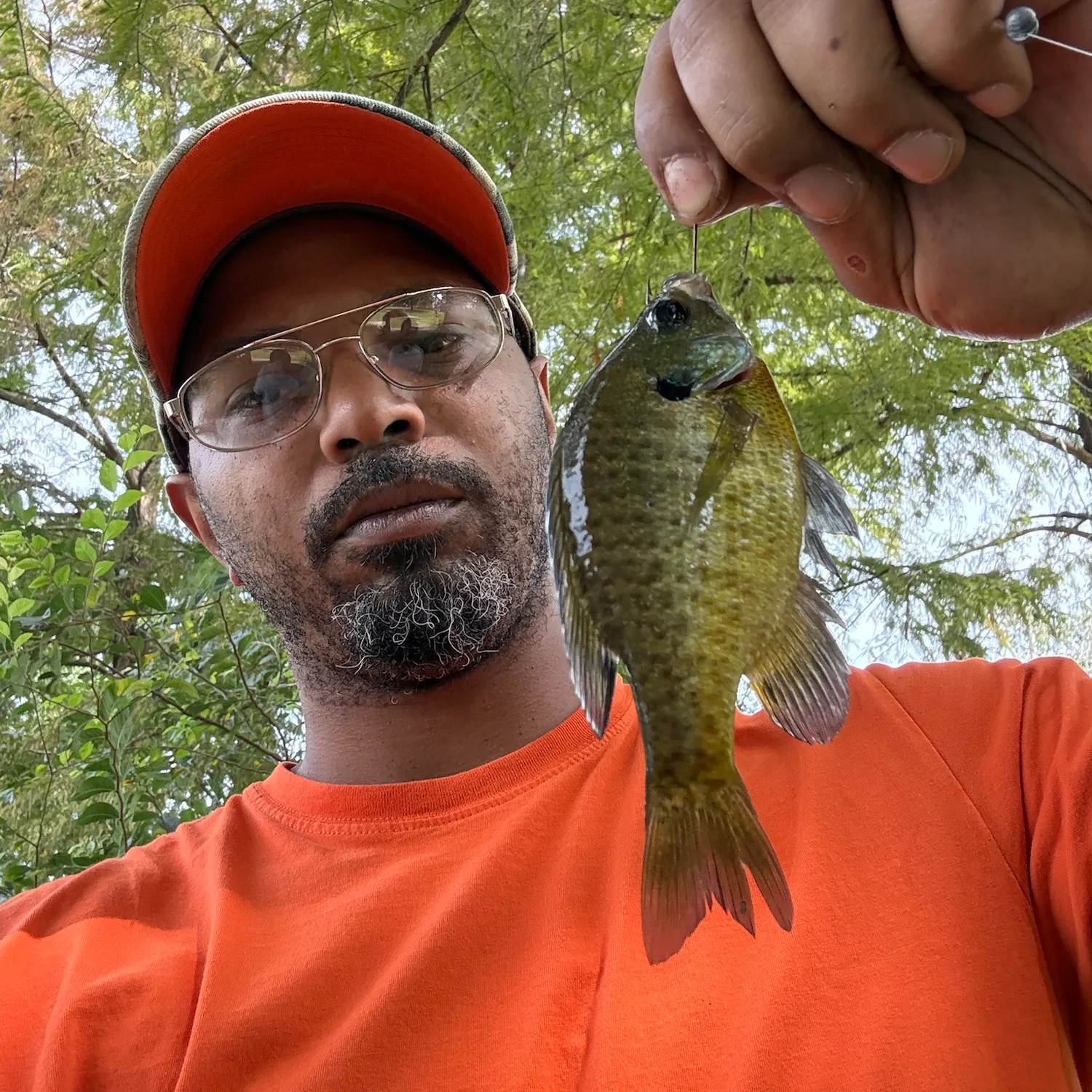 Bluegill caught on Fishbrain