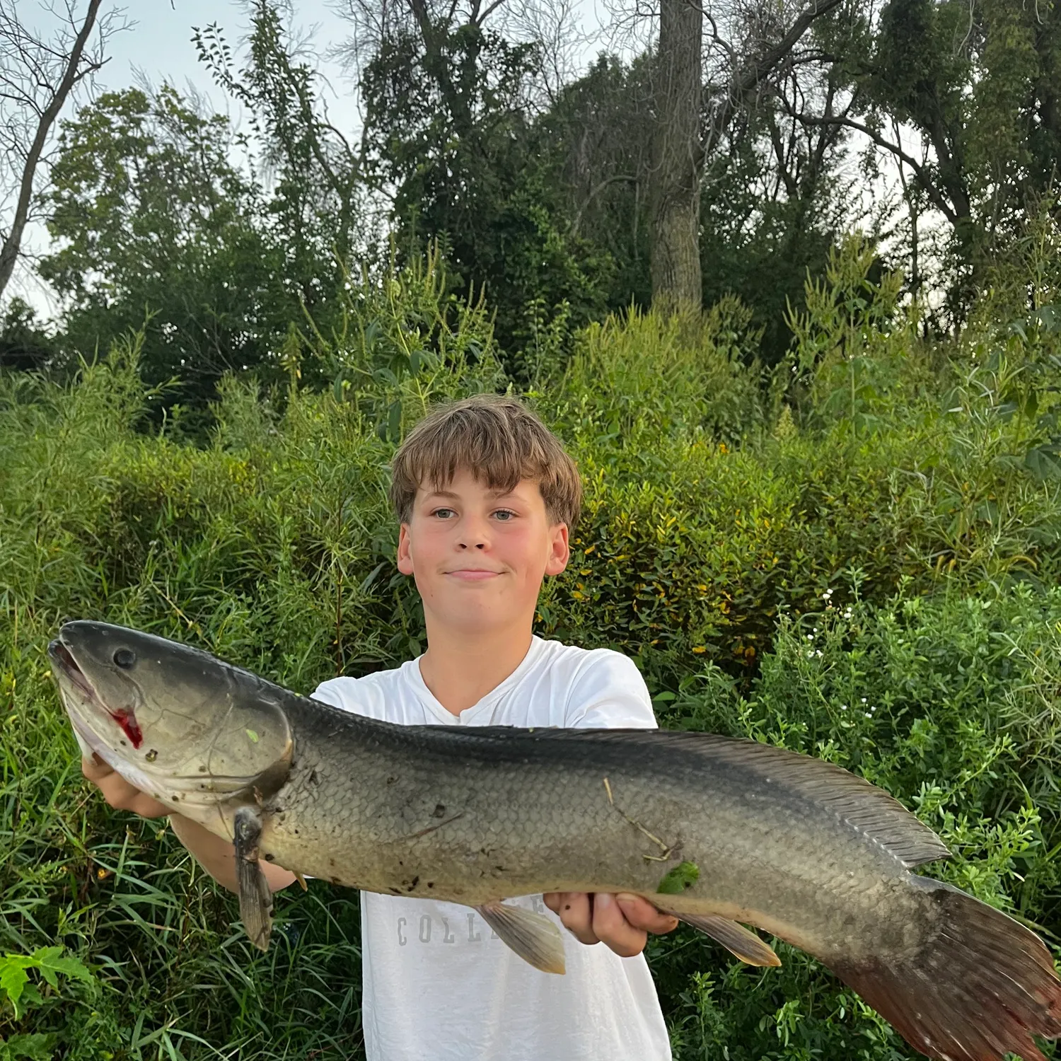 Eyetail bowfin caught on Fishbrain