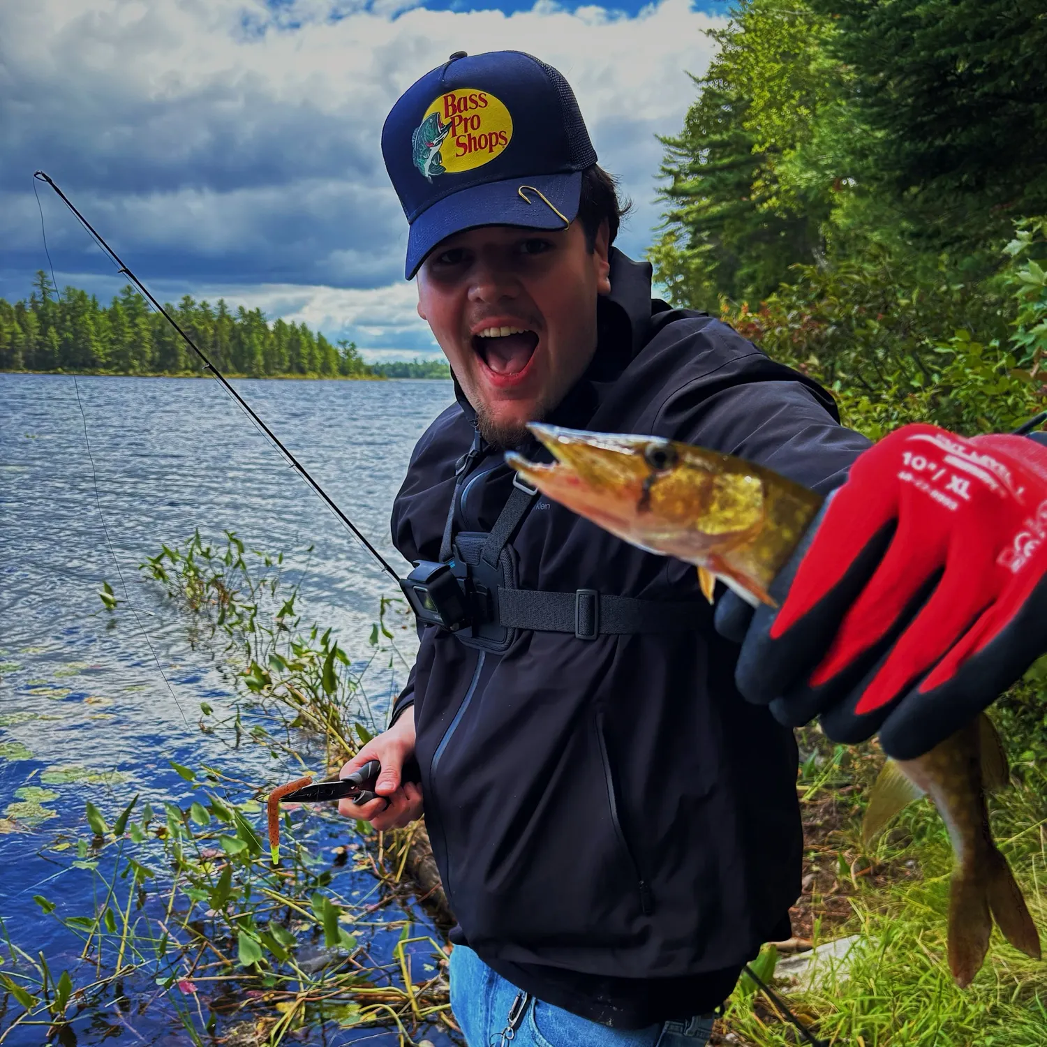 The most recent Chain pickerel catches on Fishbrain