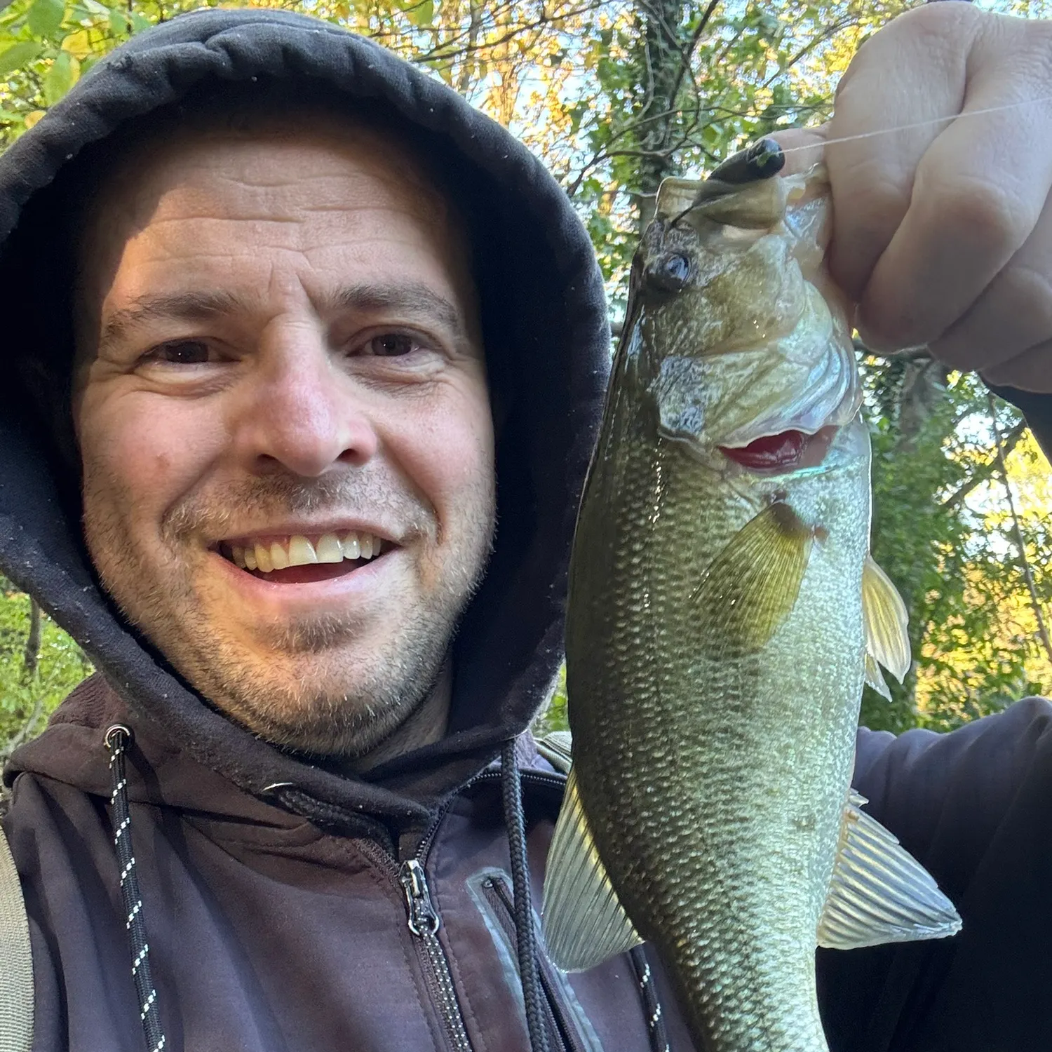 Largemouth bass caught on Fishbrain