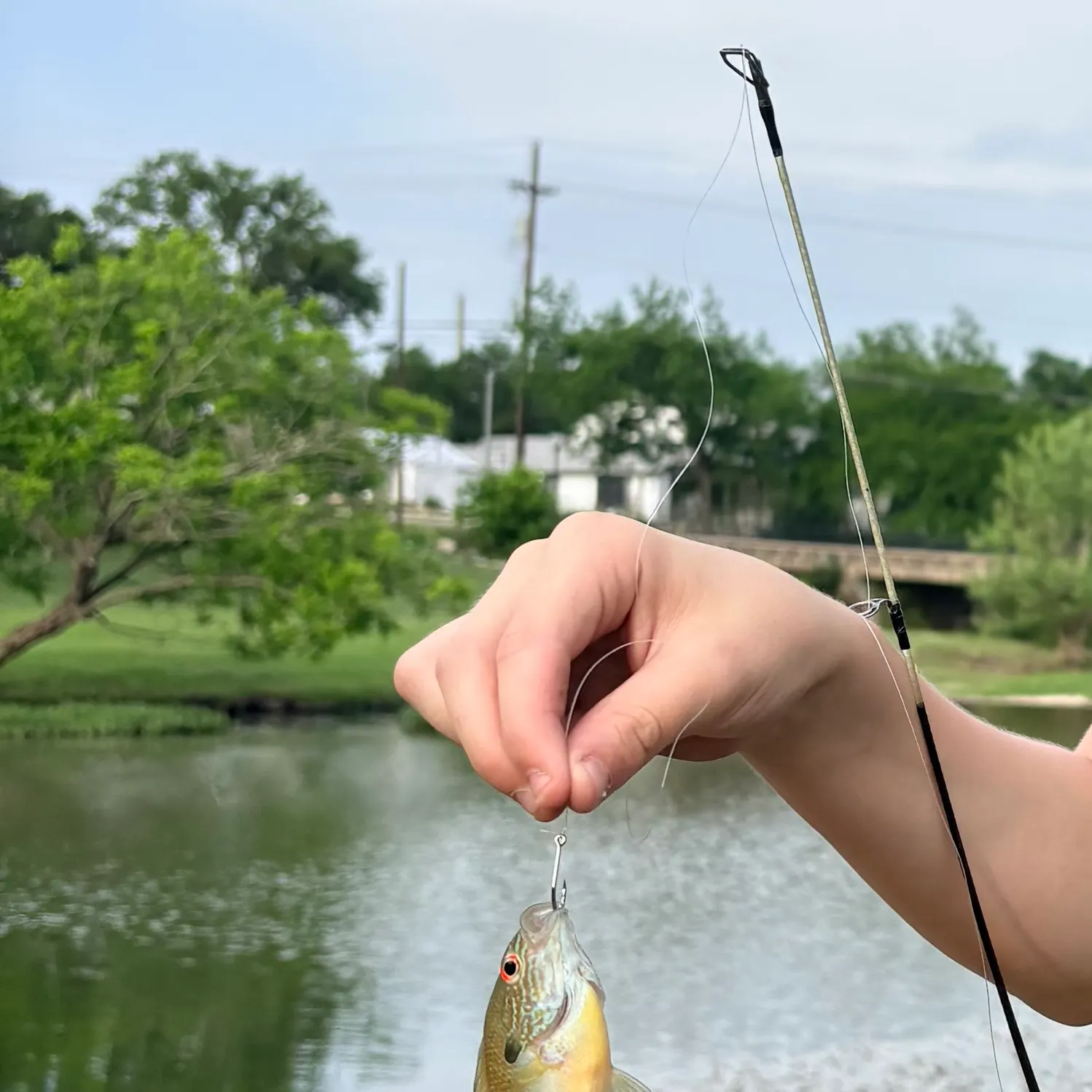catch