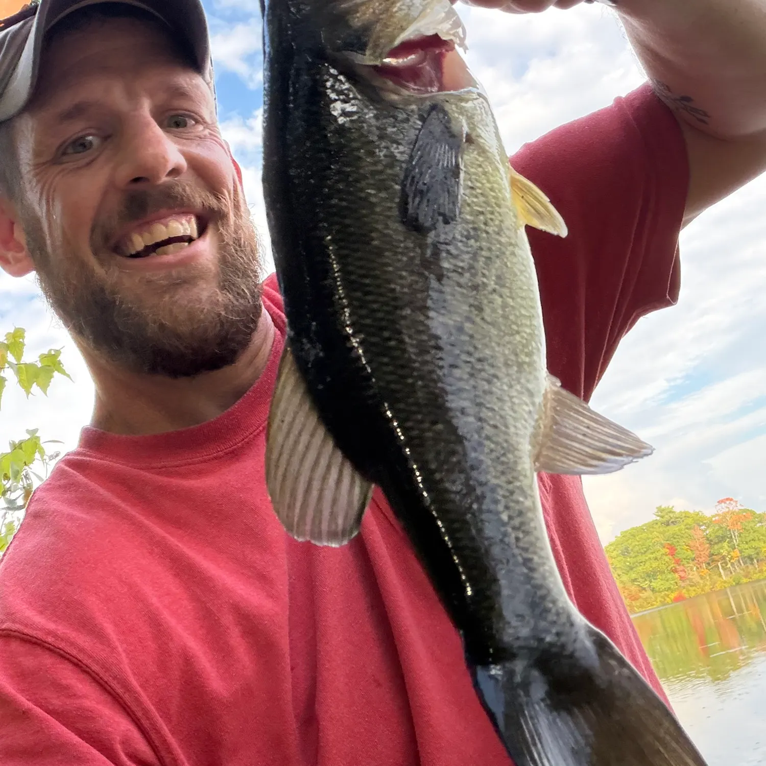 Largemouth bass caught on Fishbrain